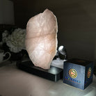 Rose Quartz Polished Slice on a Wood Base 8.5" Tall #6100RQ - 020 - Brazil GemsBrazil GemsRose Quartz Polished Slice on a Wood Base 8.5" Tall #6100RQ - 020Slices on Wood Bases6100RQ - 020