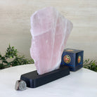 Rose Quartz Polished Slice on a Wood Base 8.5" Tall #6100RQ - 023 - Brazil GemsBrazil GemsRose Quartz Polished Slice on a Wood Base 8.5" Tall #6100RQ - 023Slices on Wood Bases6100RQ - 023