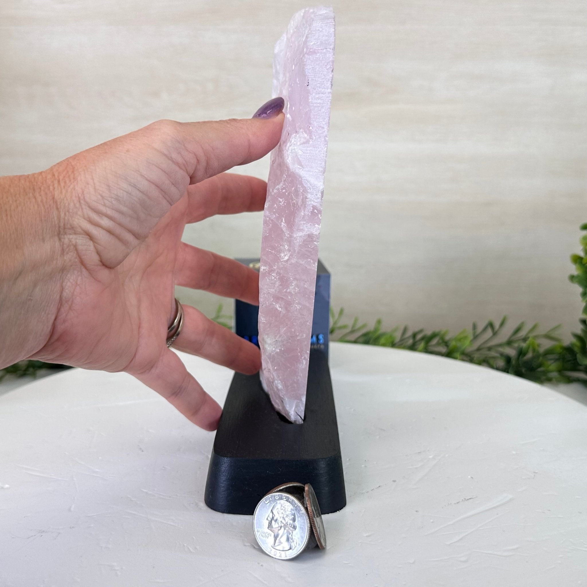 Rose Quartz Polished Slice on a Wood Base 8.5" Tall #6100RQ - 023 - Brazil GemsBrazil GemsRose Quartz Polished Slice on a Wood Base 8.5" Tall #6100RQ - 023Slices on Wood Bases6100RQ - 023