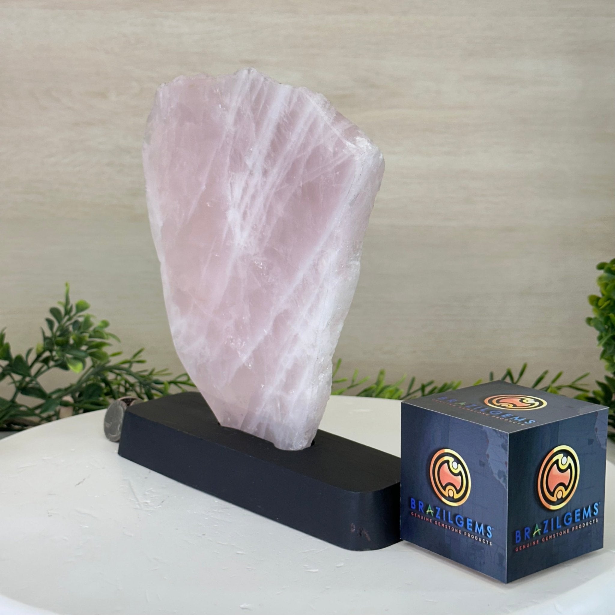 Rose Quartz Polished Slice on a Wood Base 8.5" Tall #6100RQ - 025 - Brazil GemsBrazil GemsRose Quartz Polished Slice on a Wood Base 8.5" Tall #6100RQ - 025Slices on Wood Bases6100RQ - 025