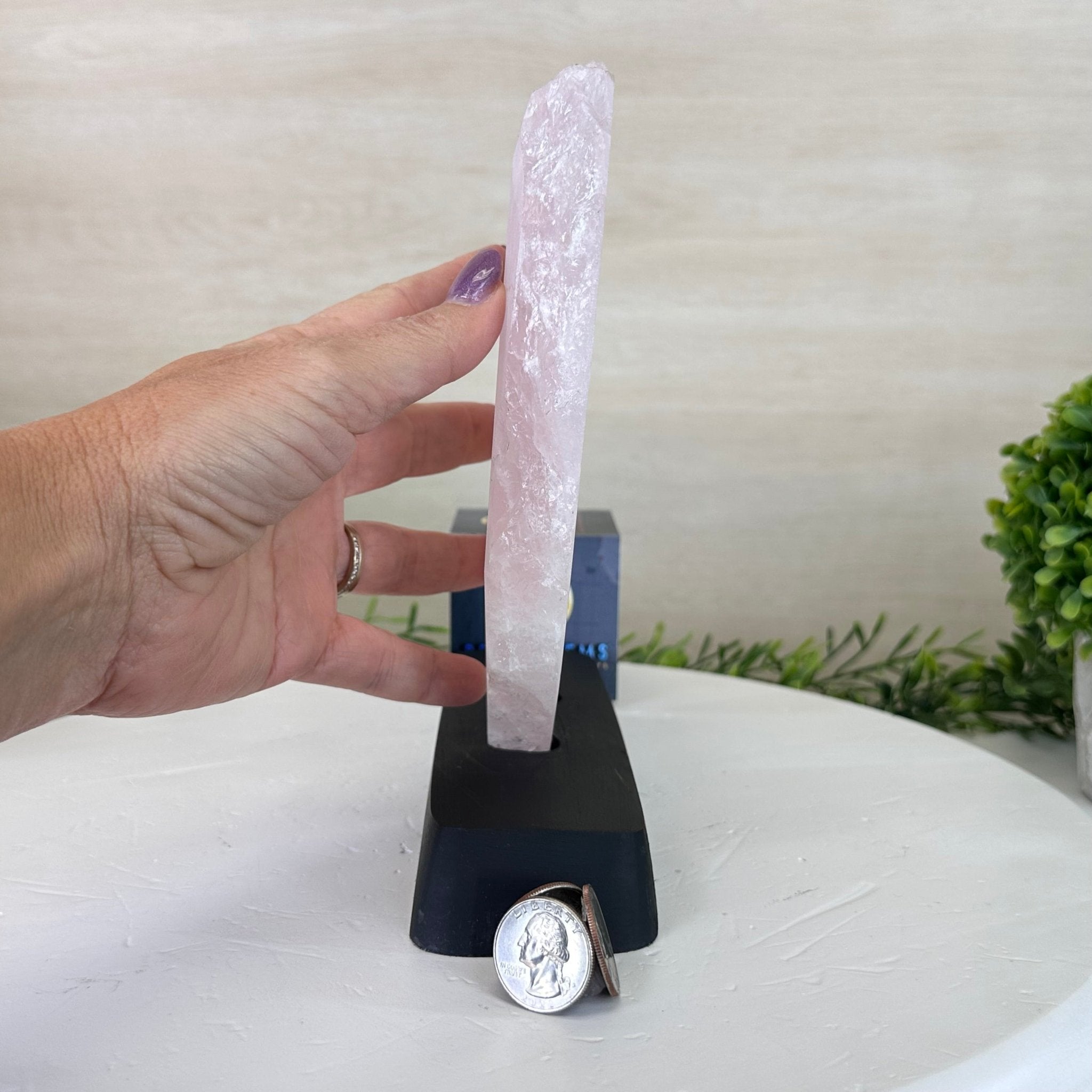 Rose Quartz Polished Slice on a Wood Base 8.5" Tall #6100RQ - 025 - Brazil GemsBrazil GemsRose Quartz Polished Slice on a Wood Base 8.5" Tall #6100RQ - 025Slices on Wood Bases6100RQ - 025