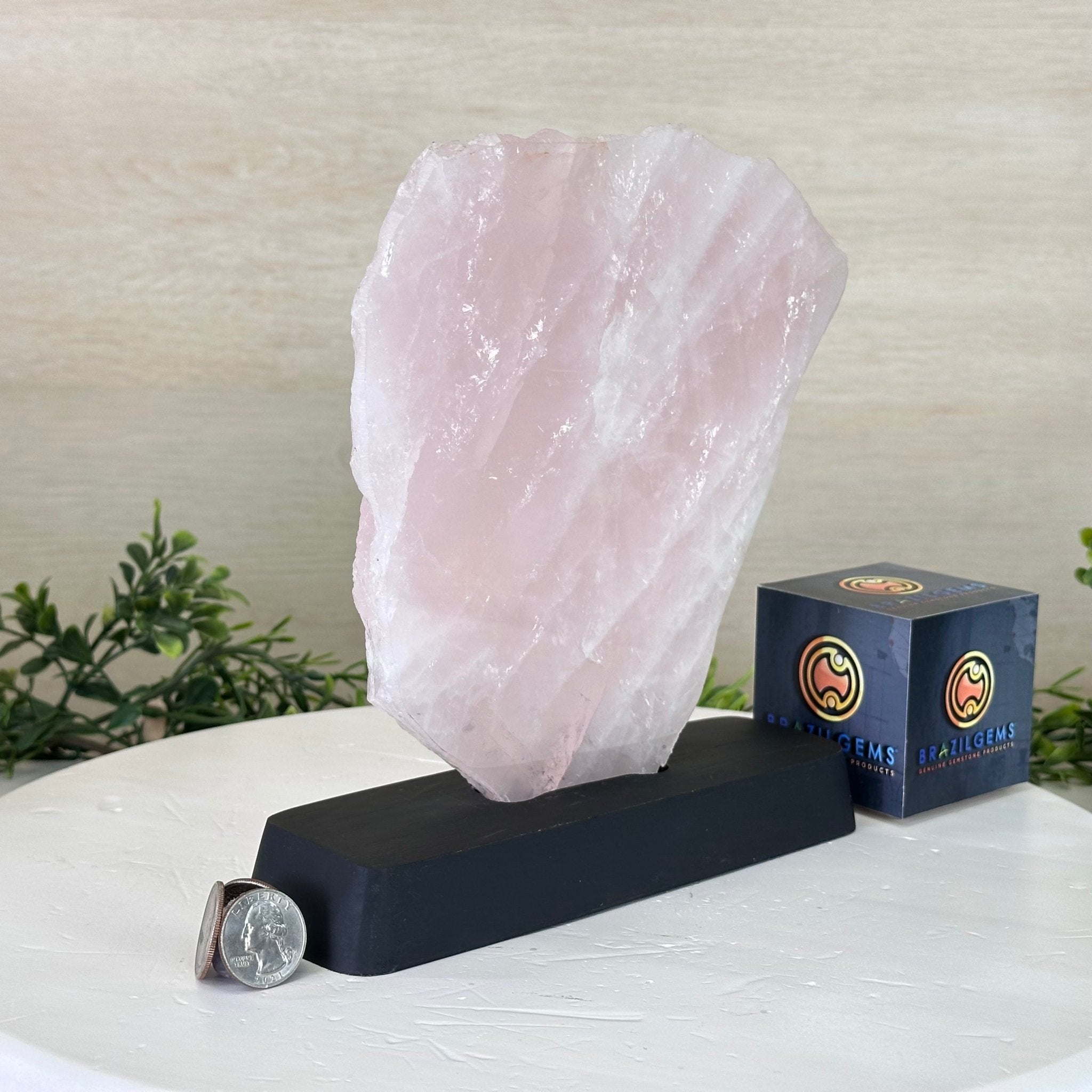 Rose Quartz Polished Slice on a Wood Base 8.5" Tall #6100RQ - 025 - Brazil GemsBrazil GemsRose Quartz Polished Slice on a Wood Base 8.5" Tall #6100RQ - 025Slices on Wood Bases6100RQ - 025