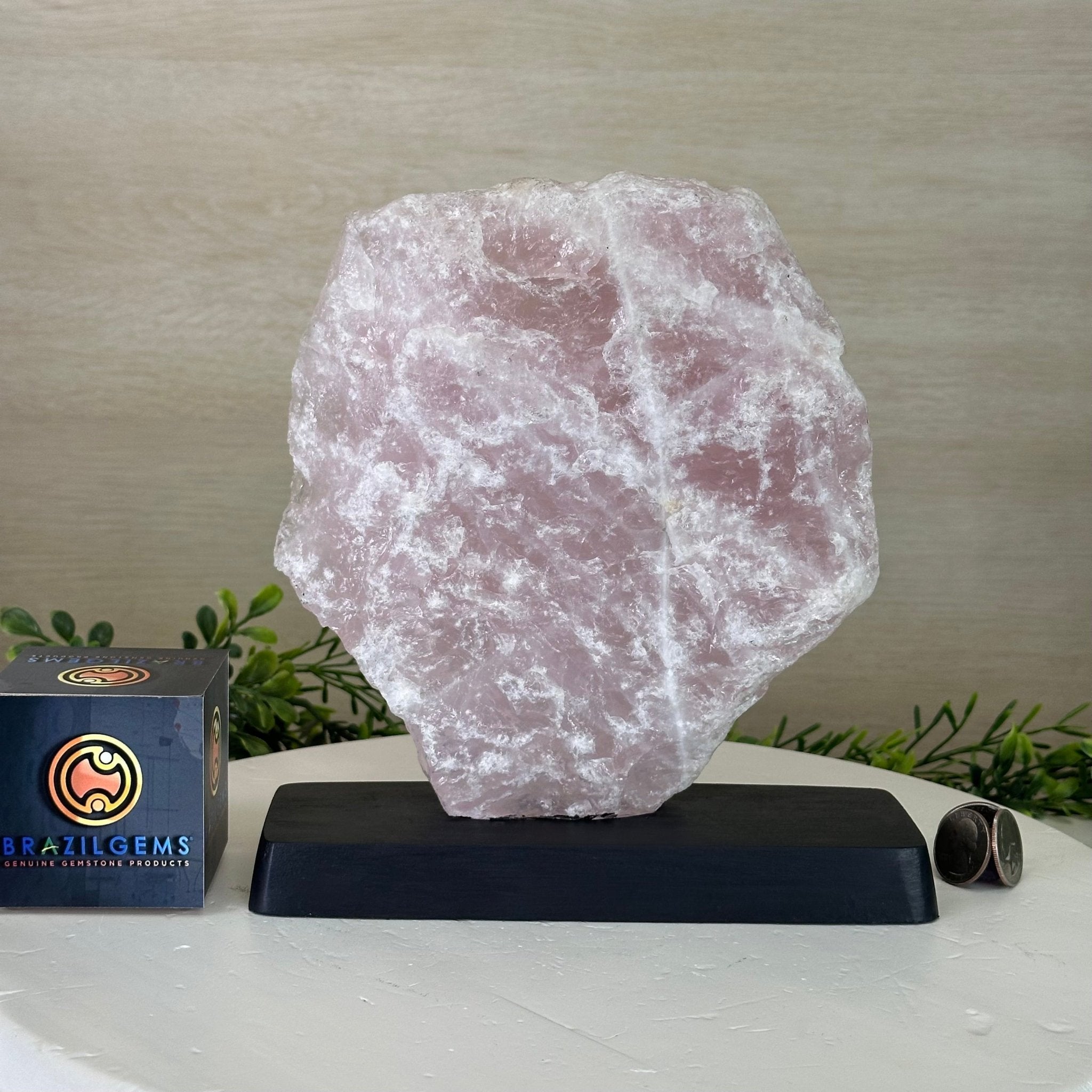 Rose Quartz Polished Slice on a Wood Base, 8.5" Tall #6100RQ - 037 - Brazil GemsBrazil GemsRose Quartz Polished Slice on a Wood Base, 8.5" Tall #6100RQ - 037Slices on Wood Bases6100RQ - 037