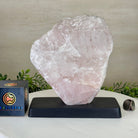 Rose Quartz Polished Slice on a Wood Base, 8.5" Tall #6100RQ - 040 - Brazil GemsBrazil GemsRose Quartz Polished Slice on a Wood Base, 8.5" Tall #6100RQ - 040Slices on Wood Bases6100RQ - 040