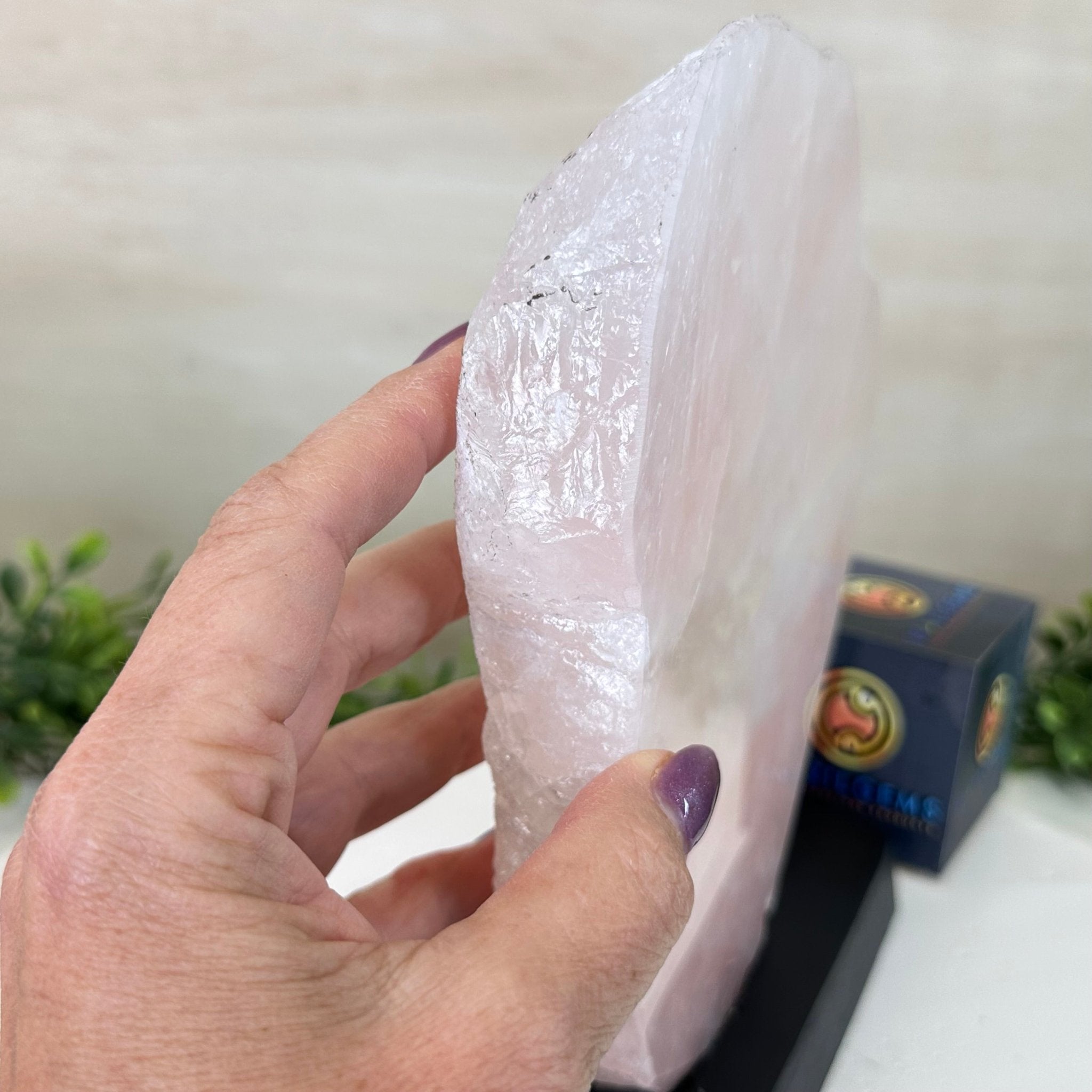 Rose Quartz Polished Slice on a Wood Base, 8.5" Tall #6100RQ - 040 - Brazil GemsBrazil GemsRose Quartz Polished Slice on a Wood Base, 8.5" Tall #6100RQ - 040Slices on Wood Bases6100RQ - 040