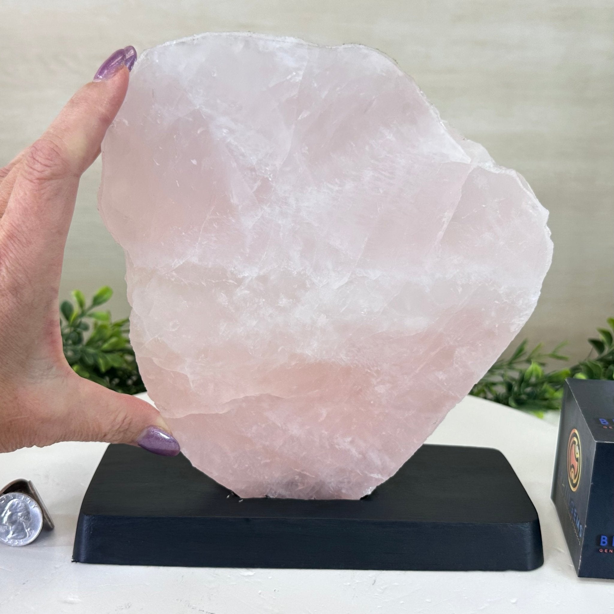 Rose Quartz Polished Slice on a Wood Base, 8.5" Tall #6100RQ - 040 - Brazil GemsBrazil GemsRose Quartz Polished Slice on a Wood Base, 8.5" Tall #6100RQ - 040Slices on Wood Bases6100RQ - 040