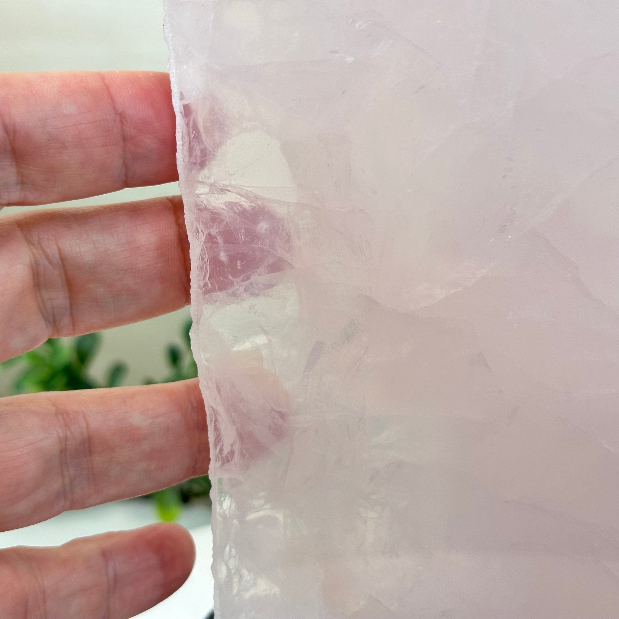 Rose Quartz Polished Slice on a Wood Base, 8.5" Tall #6100RQ - 043 - Brazil GemsBrazil GemsRose Quartz Polished Slice on a Wood Base, 8.5" Tall #6100RQ - 043Slices on Wood Bases6100RQ - 043