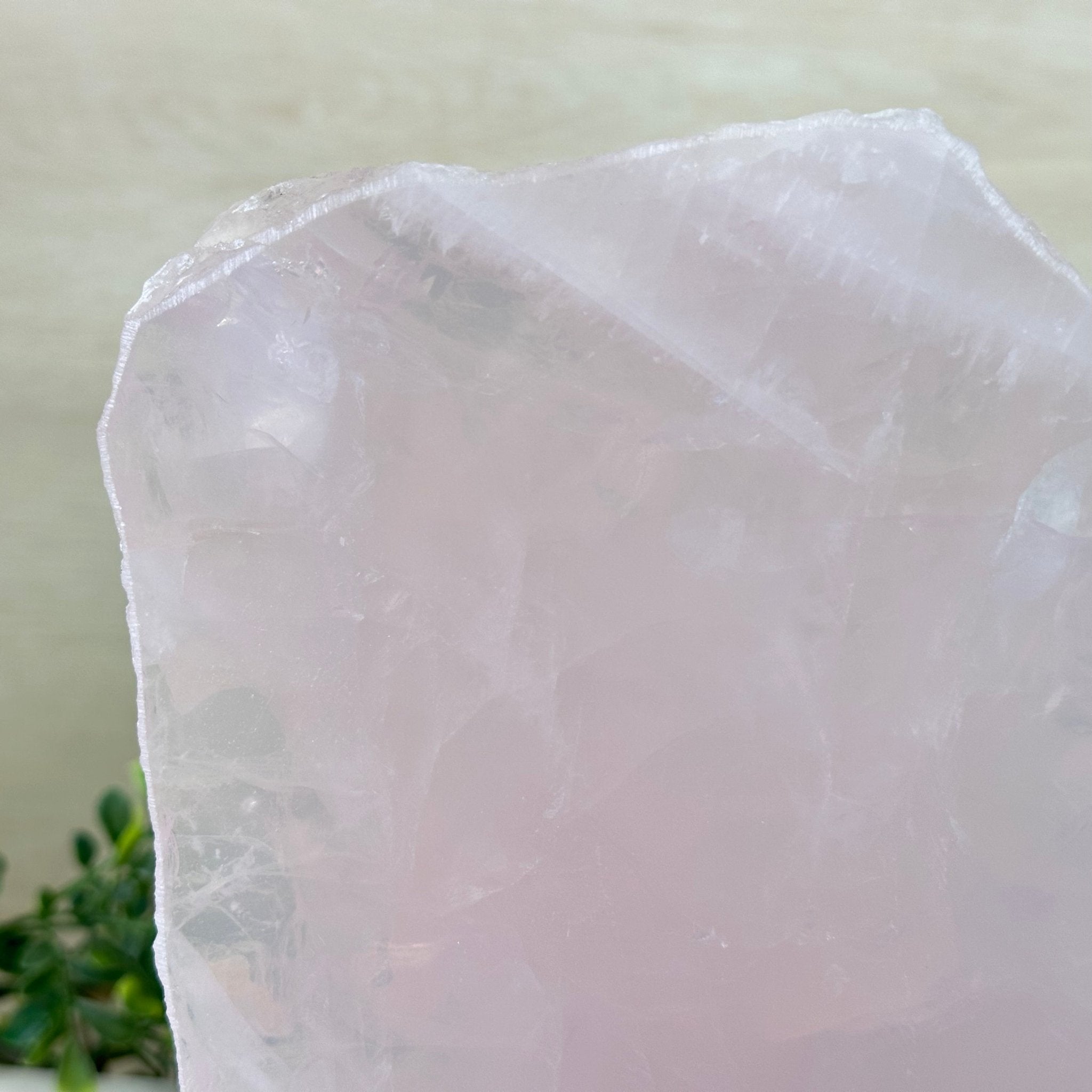 Rose Quartz Polished Slice on a Wood Base, 8.5" Tall #6100RQ - 043 - Brazil GemsBrazil GemsRose Quartz Polished Slice on a Wood Base, 8.5" Tall #6100RQ - 043Slices on Wood Bases6100RQ - 043