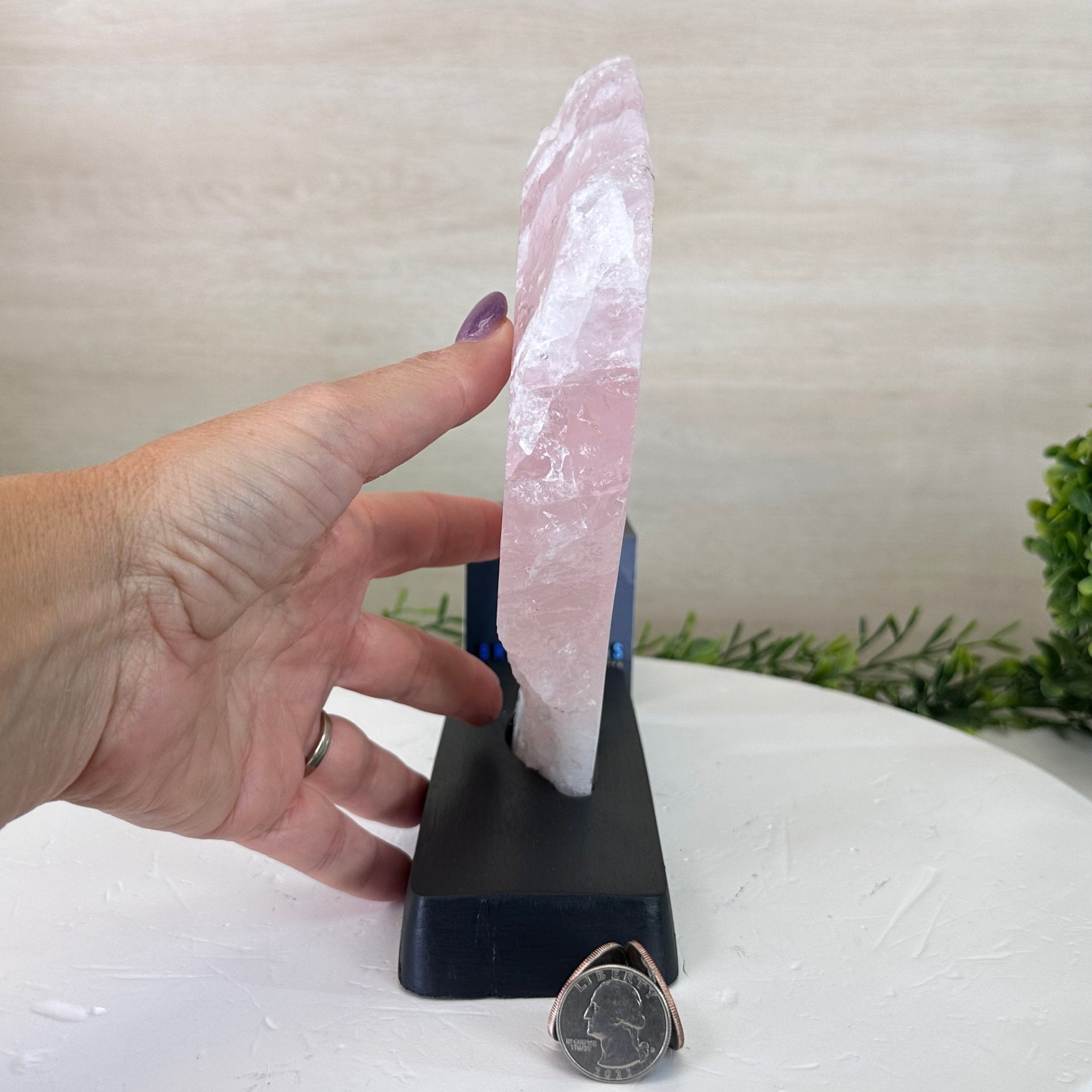 Rose Quartz Polished Slice on a Wood Base, 9" Tall #6100RQ - 034 - Brazil GemsBrazil GemsRose Quartz Polished Slice on a Wood Base, 9" Tall #6100RQ - 034Slices on Wood Bases6100RQ - 034