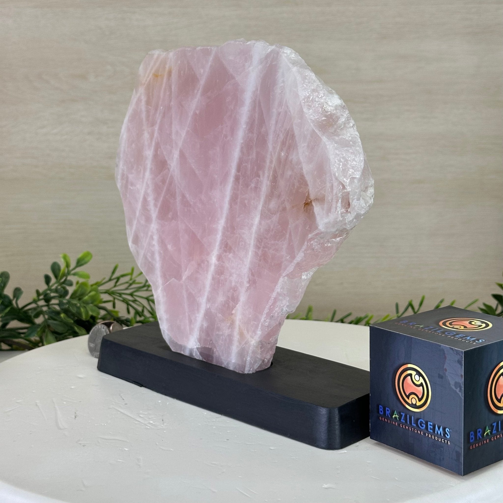 Rose Quartz Polished Slice on a Wood Base, 9" Tall #6100RQ - 048 - Brazil GemsBrazil GemsRose Quartz Polished Slice on a Wood Base, 9" Tall #6100RQ - 048Slices on Wood Bases6100RQ - 048