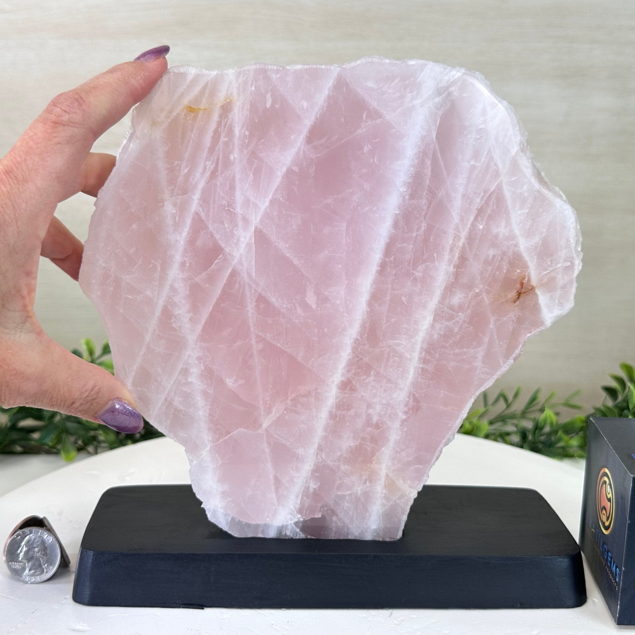 Rose Quartz Slice on Wood Base Model #6100RQ-048 – Brazil Gems