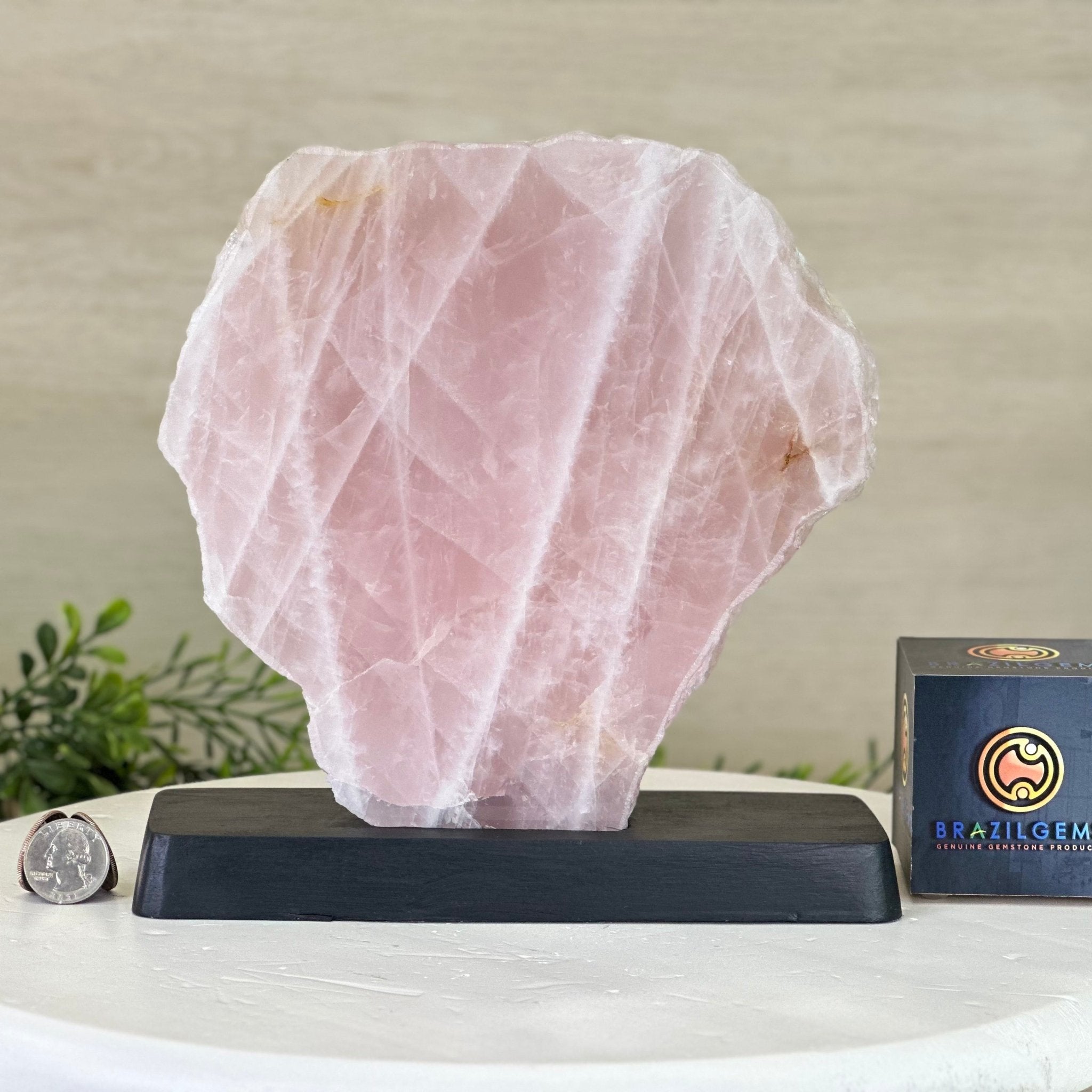 Rose Quartz Slice on Wood Base Model #6100RQ-048 – Brazil Gems