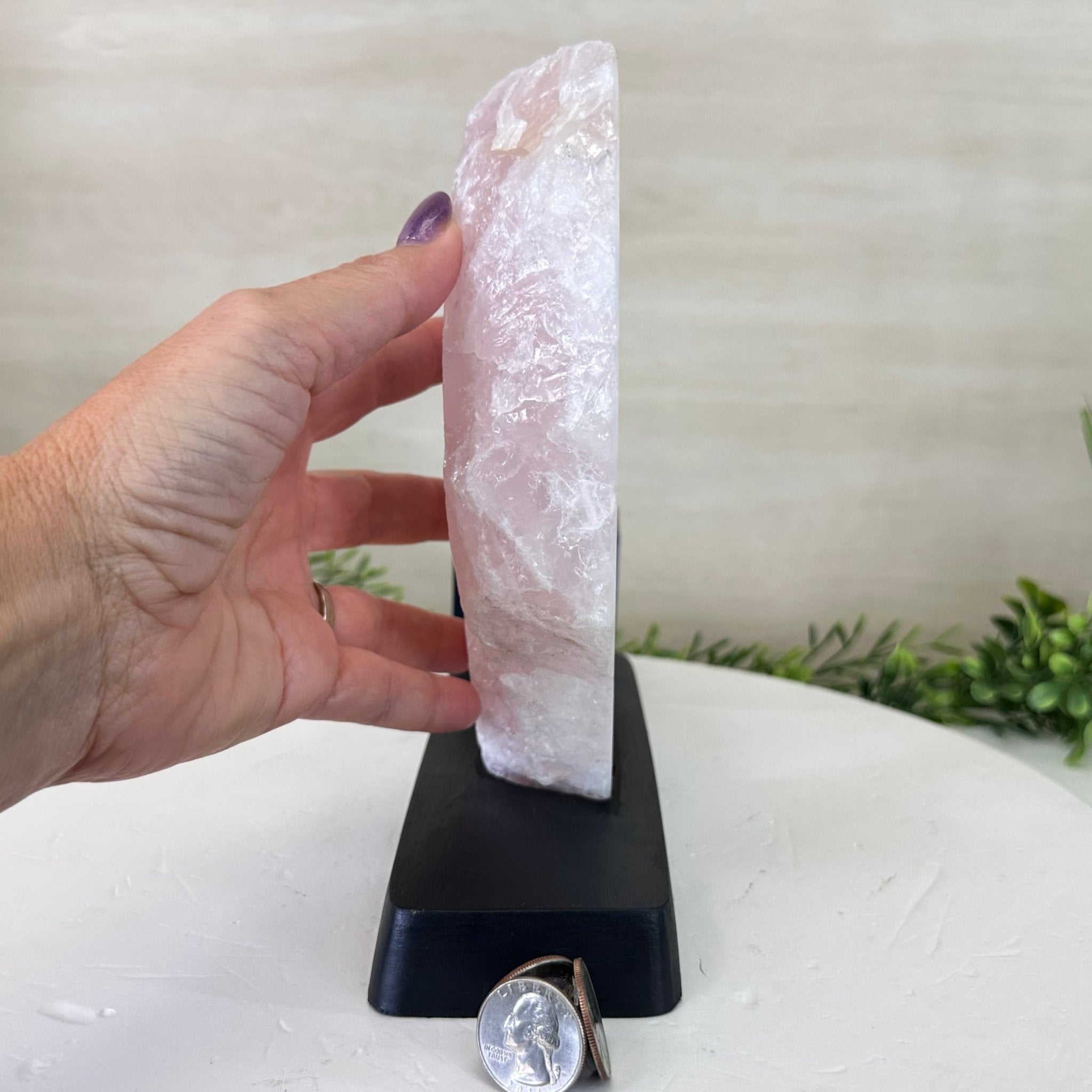 Rose Quartz Polished Slice on a Wood Base, 9" Tall #6100RQ - 048 - Brazil GemsBrazil GemsRose Quartz Polished Slice on a Wood Base, 9" Tall #6100RQ - 048Slices on Wood Bases6100RQ - 048