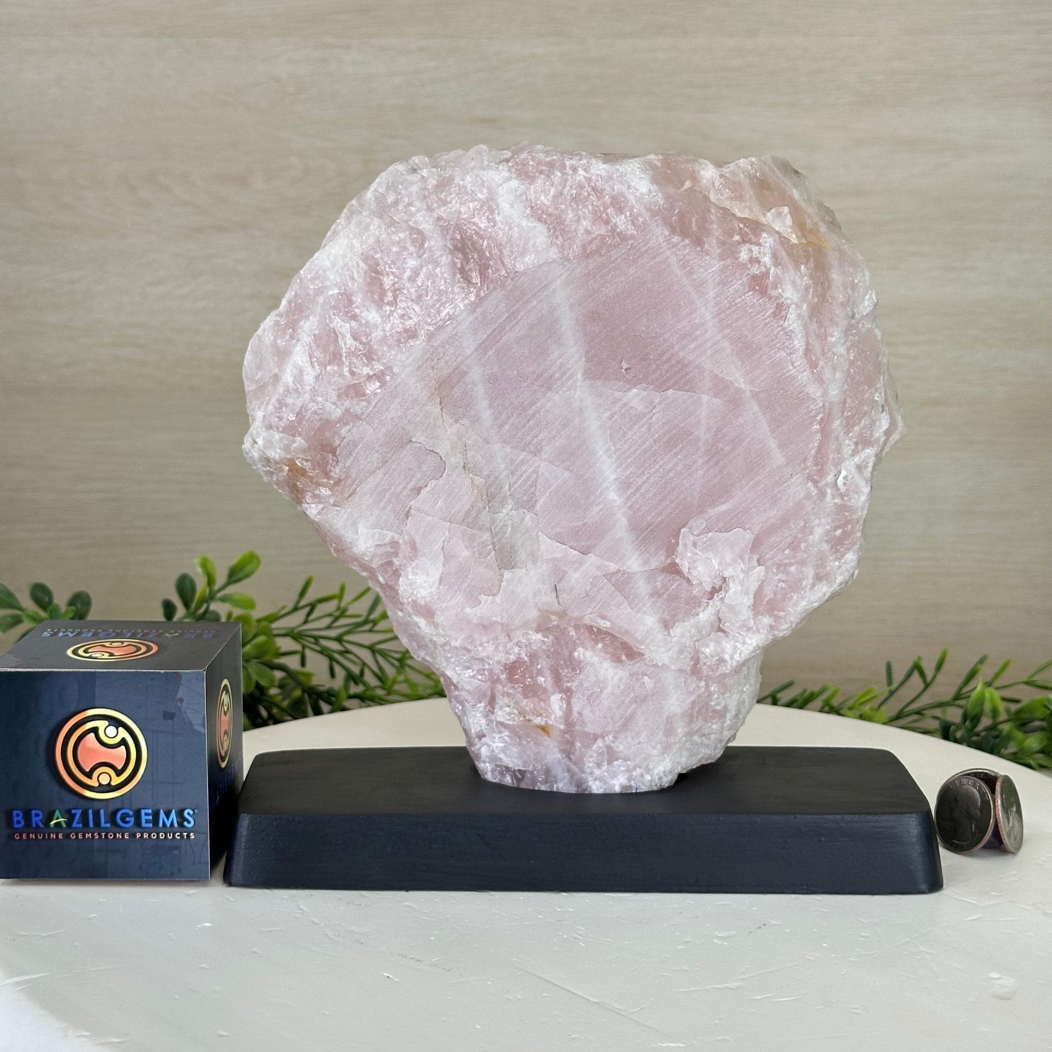 Rose Quartz Polished Slice on a Wood Base, 9" Tall #6100RQ - 048 - Brazil GemsBrazil GemsRose Quartz Polished Slice on a Wood Base, 9" Tall #6100RQ - 048Slices on Wood Bases6100RQ - 048