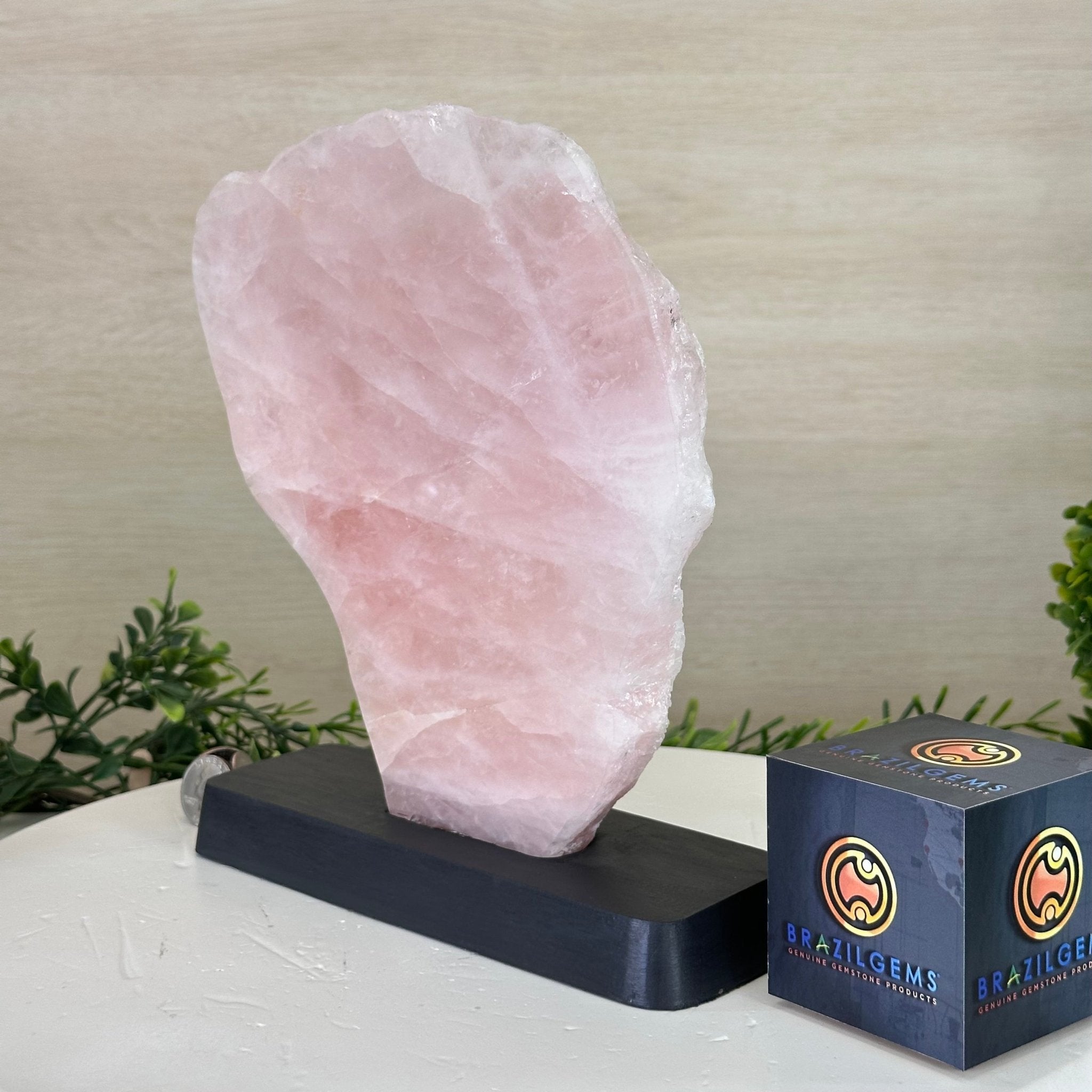 Rose Quartz Polished Slice on a Wood Base, 9.25" Tall #6100RQ - 035 - Brazil GemsBrazil GemsRose Quartz Polished Slice on a Wood Base, 9.25" Tall #6100RQ - 035Slices on Wood Bases6100RQ - 035