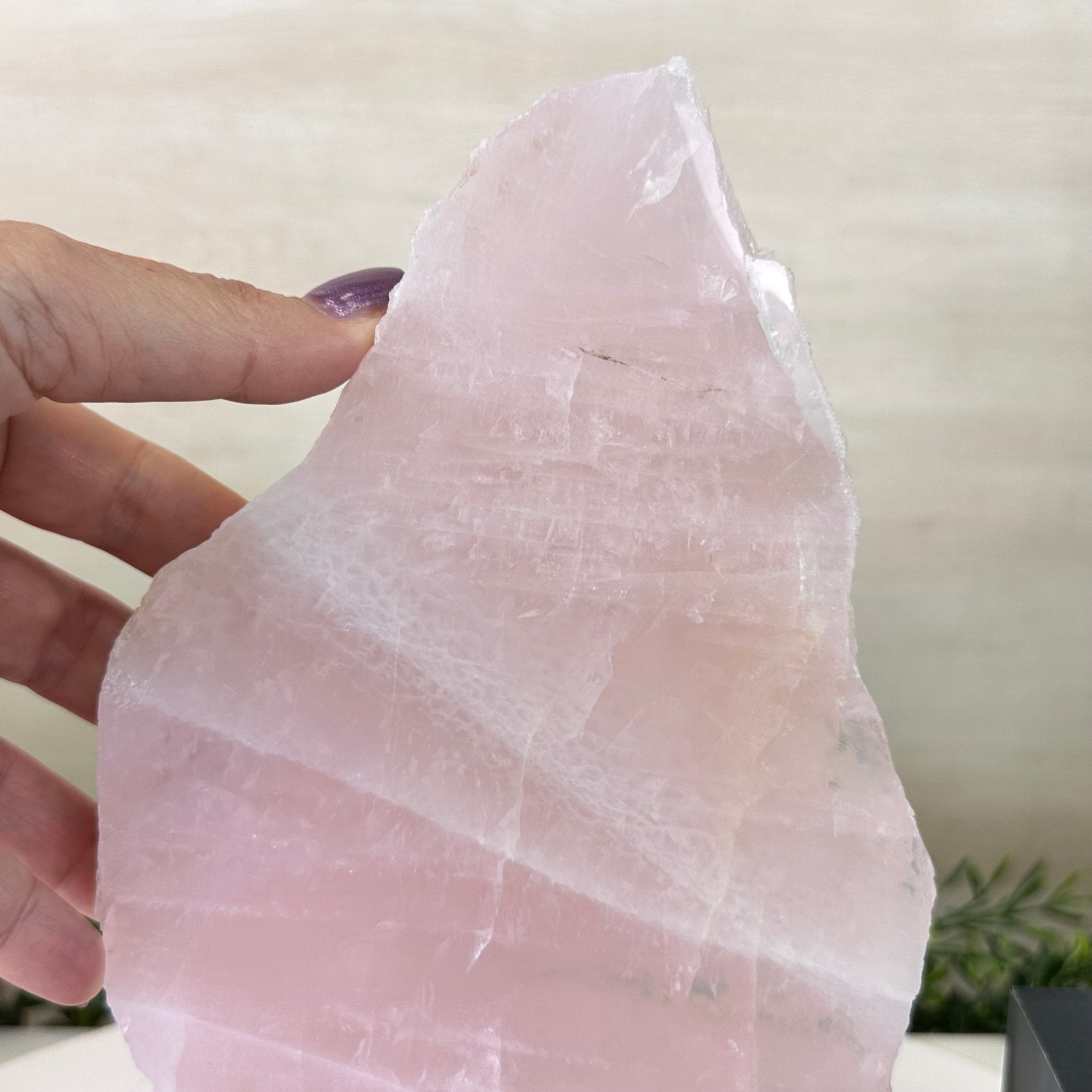 Rose Quartz Polished Slice on a Wood Base, 9.5" Tall #6100RQ - 015 - Brazil GemsBrazil GemsRose Quartz Polished Slice on a Wood Base, 9.5" Tall #6100RQ - 015Slices on Wood Bases6100RQ - 015