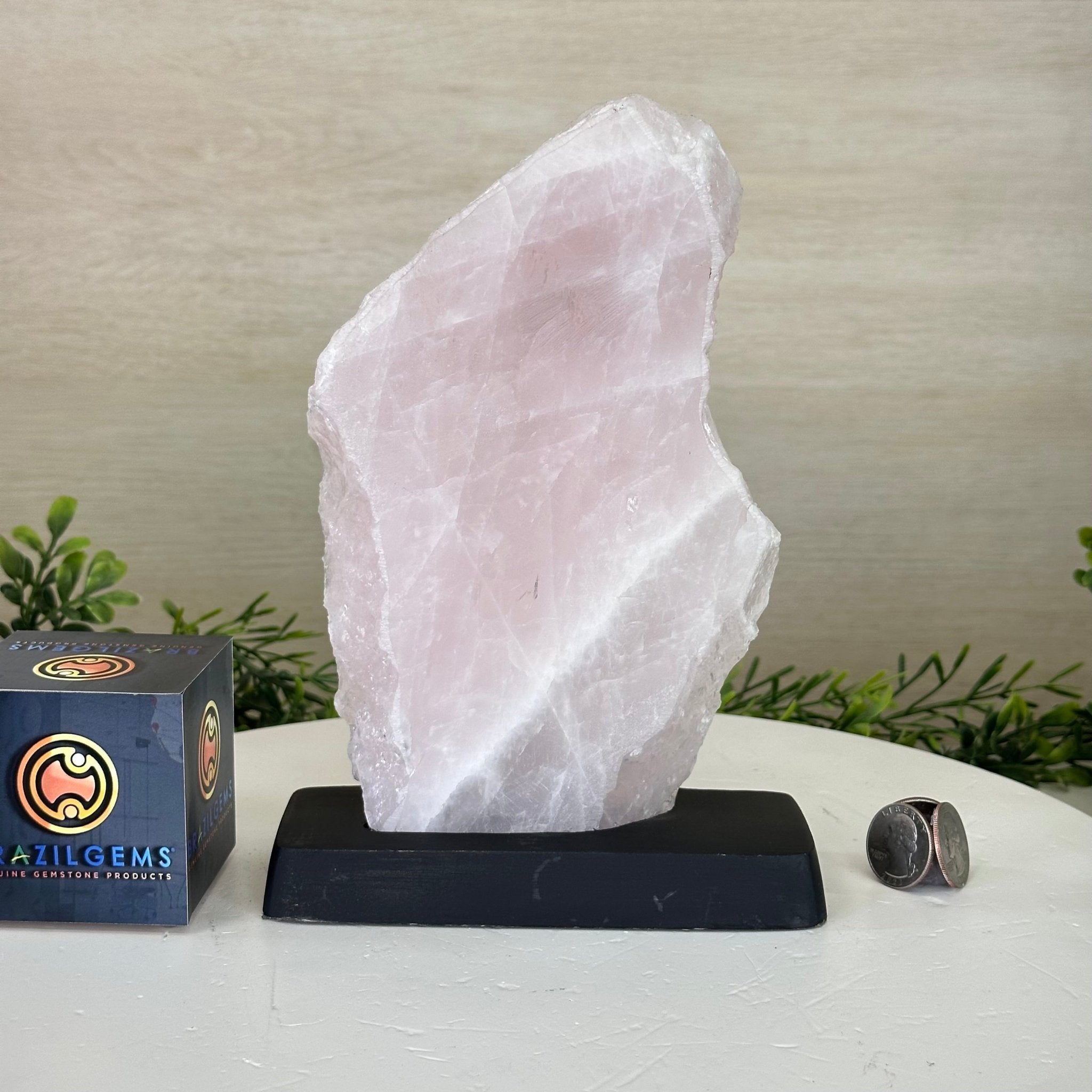 Rose Quartz Polished Slice on a Wood Base Model, 9" Tall #6100RQ - 013 - Brazil GemsBrazil GemsRose Quartz Polished Slice on a Wood Base Model, 9" Tall #6100RQ - 013Slices on Wood Bases6100RQ - 013