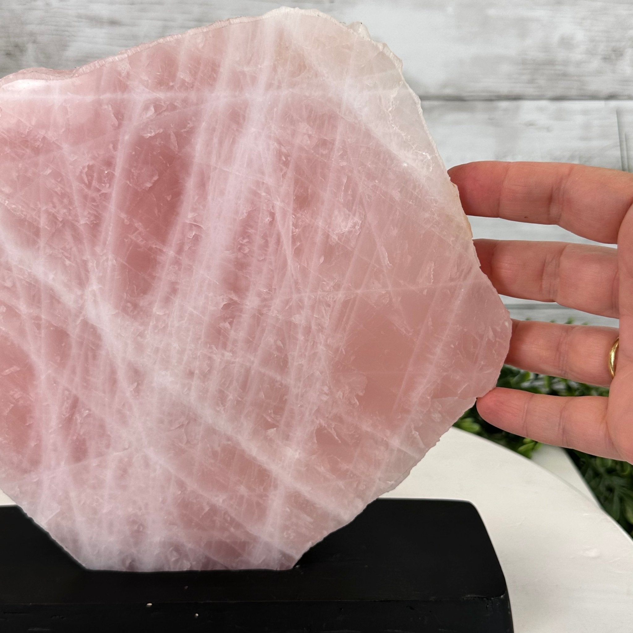Rose Quartz Polished Slice with Rough Edges on a Wood Base Model 9" Tall Model #6100RQ-046 by Brazil Gems - Brazil GemsBrazil GemsRose Quartz Polished Slice with Rough Edges on a Wood Base Model 9" Tall Model #6100RQ-046 by Brazil GemsSlices on Wood Bases6100RQ-046