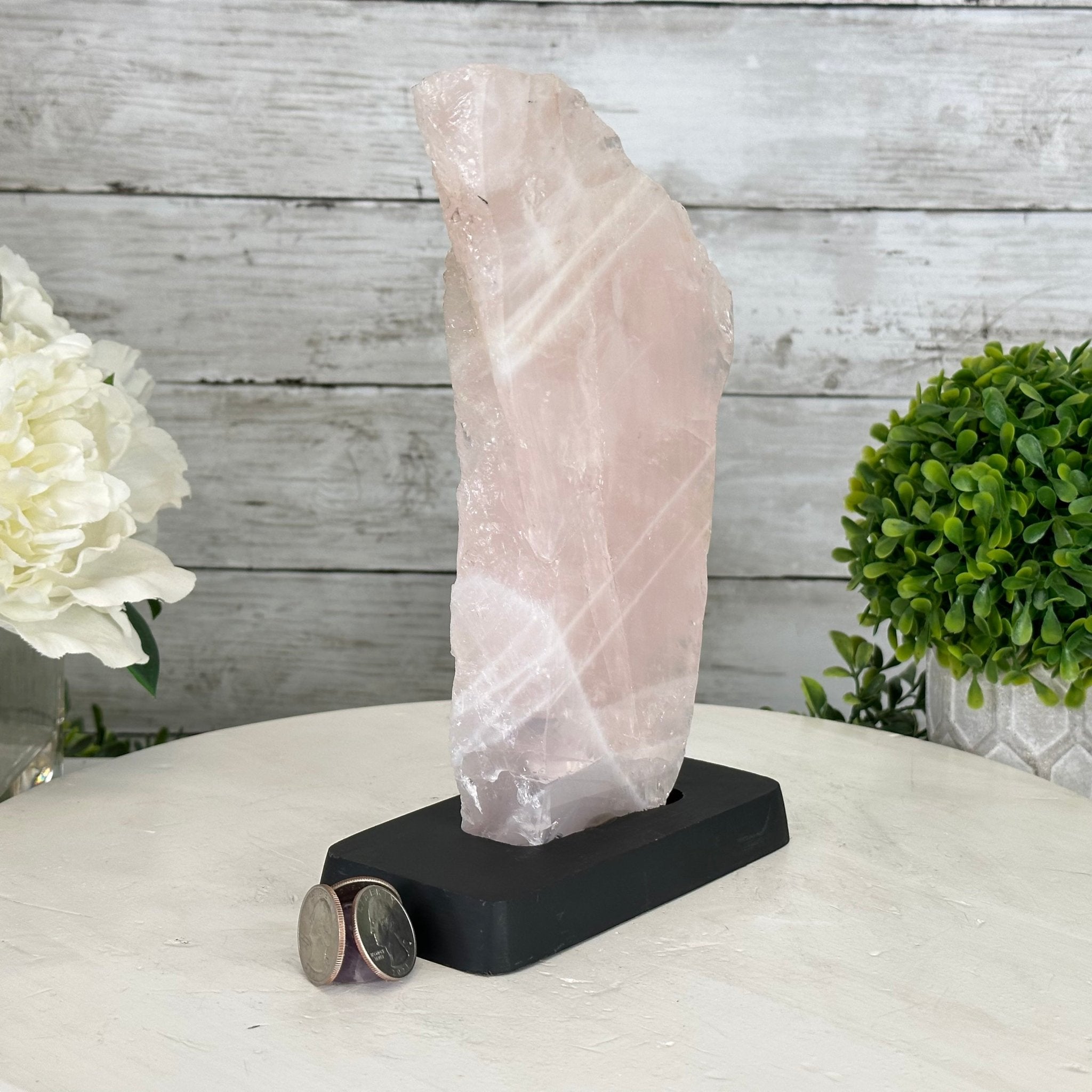 Rose Quartz Polished Slice with Rough Edges on a Wood Base Model 9.25" Tall Model #6100RQ-009 by Brazil Gems - Brazil GemsBrazil GemsRose Quartz Polished Slice with Rough Edges on a Wood Base Model 9.25" Tall Model #6100RQ-009 by Brazil GemsSlices on Wood Bases6100RQ-009