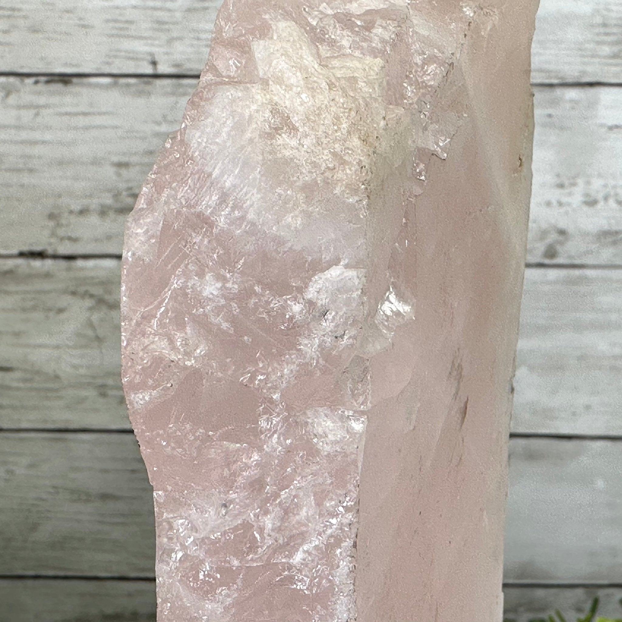 Rose Quartz Polished Slice with Rough Edges on a Wood Base Model 9.25" Tall Model #6100RQ-009 by Brazil Gems - Brazil GemsBrazil GemsRose Quartz Polished Slice with Rough Edges on a Wood Base Model 9.25" Tall Model #6100RQ-009 by Brazil GemsSlices on Wood Bases6100RQ-009