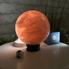 Rose Quartz Sphere on a Wood Base, 10.9 lbs & 7" Tall #5632 - 0014 - Brazil GemsBrazil GemsRose Quartz Sphere on a Wood Base, 10.9 lbs & 7" Tall #5632 - 0014Spheres5632 - 0014