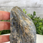 Rough Blue Kyanite Crystal on a Wood Base, 1.5 lbs & 5.6" Tall, Model #6012-0033 by Brazil Gems - Brazil GemsBrazil GemsRough Blue Kyanite Crystal on a Wood Base, 1.5 lbs & 5.6" Tall, Model #6012-0033 by Brazil GemsClusters on Wood Bases6012-0033