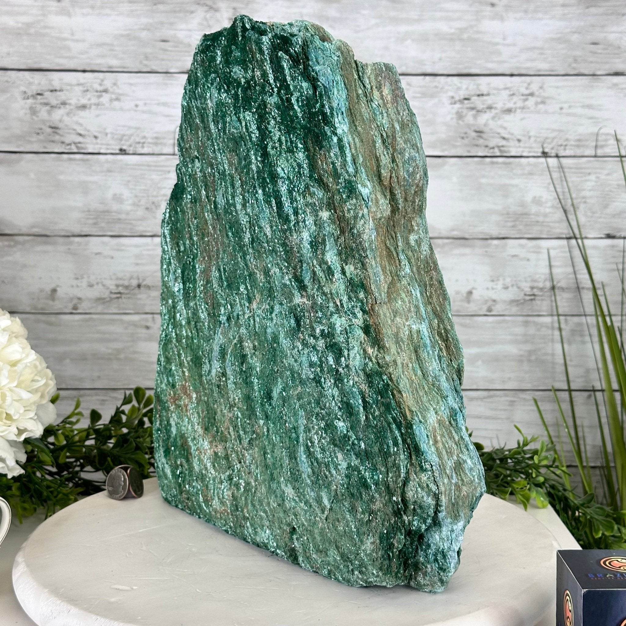 fuettarich フェタリッチ img_sms_fv01.jpg