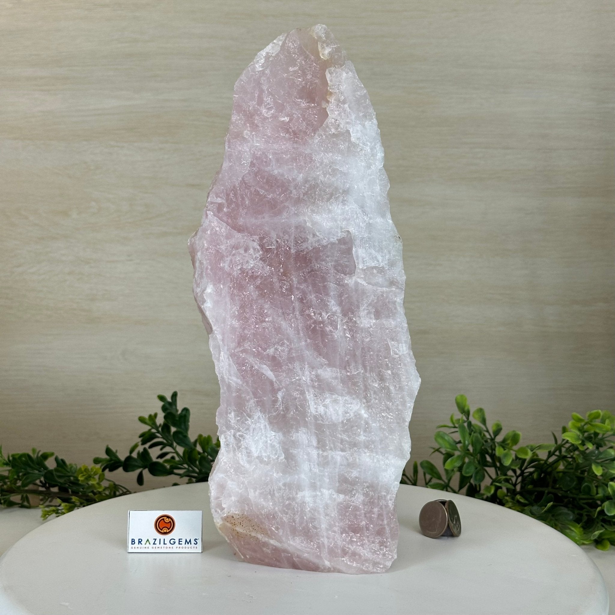 Rough Rose Quartz Freeform Gemstone, 14.1 lbs & 12.9” Tall 3302RQ - 005 - Brazil GemsBrazil GemsRough Rose Quartz Freeform Gemstone, 14.1 lbs & 12.9” Tall 3302RQ - 005Freeform & Unique Shapes3302RQ - 005