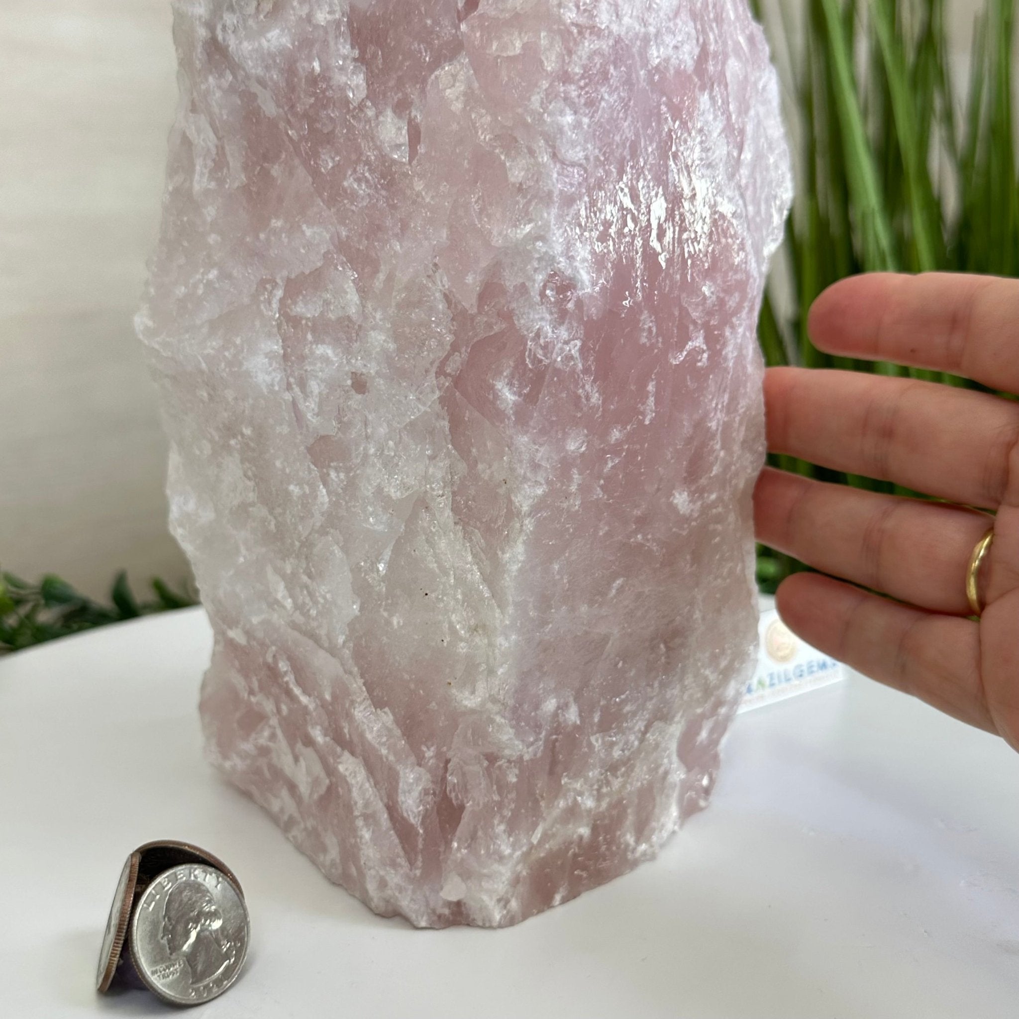 Rough Rose Quartz Freeform Gemstone, 14.1 lbs & 12.9” Tall 3302RQ - 005 - Brazil GemsBrazil GemsRough Rose Quartz Freeform Gemstone, 14.1 lbs & 12.9” Tall 3302RQ - 005Freeform & Unique Shapes3302RQ - 005