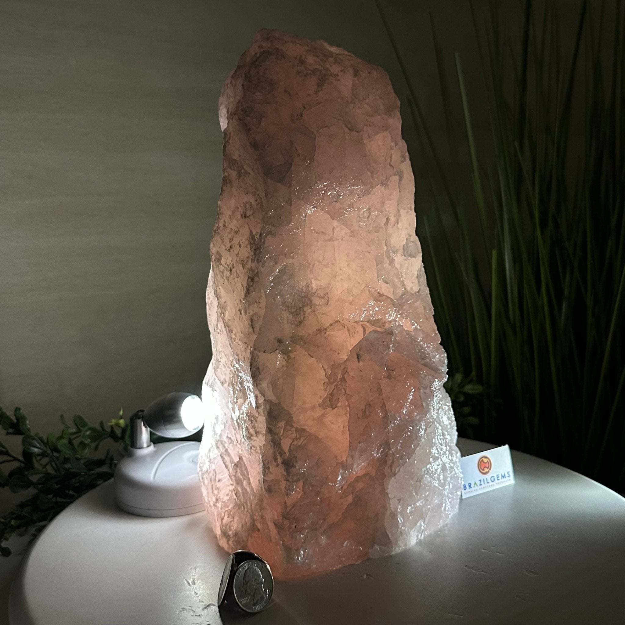 Rough Rose Quartz Freeform Gemstone, 16.5 lbs & 11.3” Tall 3302RQ - 006 - Brazil GemsBrazil GemsRough Rose Quartz Freeform Gemstone, 16.5 lbs & 11.3” Tall 3302RQ - 006Freeform & Unique Shapes3302RQ - 006