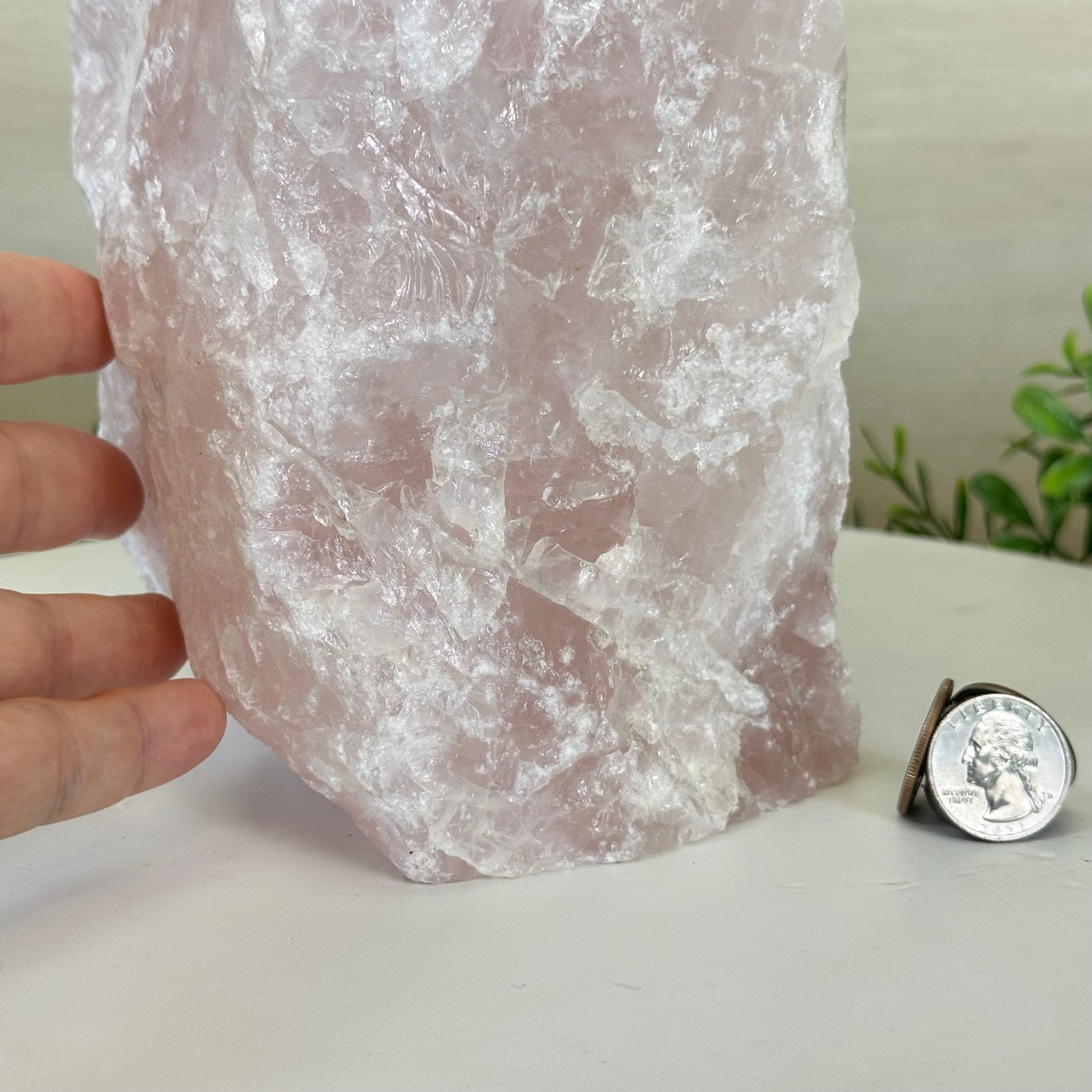 Rough Rose Quartz Freeform Gemstone, 16.5 lbs & 11.3” Tall 3302RQ - 006 - Brazil GemsBrazil GemsRough Rose Quartz Freeform Gemstone, 16.5 lbs & 11.3” Tall 3302RQ - 006Freeform & Unique Shapes3302RQ - 006