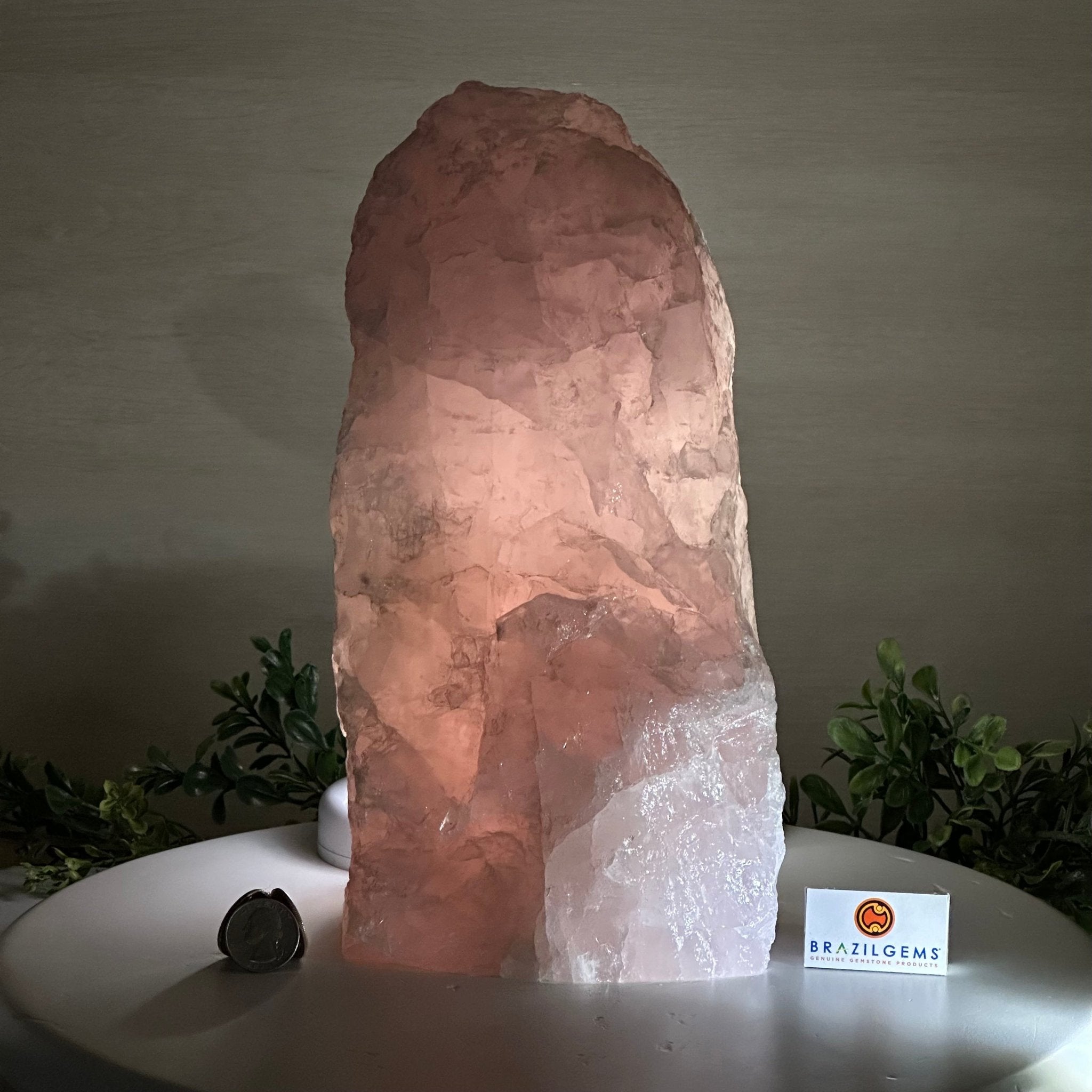 Rough Rose Quartz Freeform Gemstone, 16.5 lbs & 11.3” Tall 3302RQ - 006 - Brazil GemsBrazil GemsRough Rose Quartz Freeform Gemstone, 16.5 lbs & 11.3” Tall 3302RQ - 006Freeform & Unique Shapes3302RQ - 006