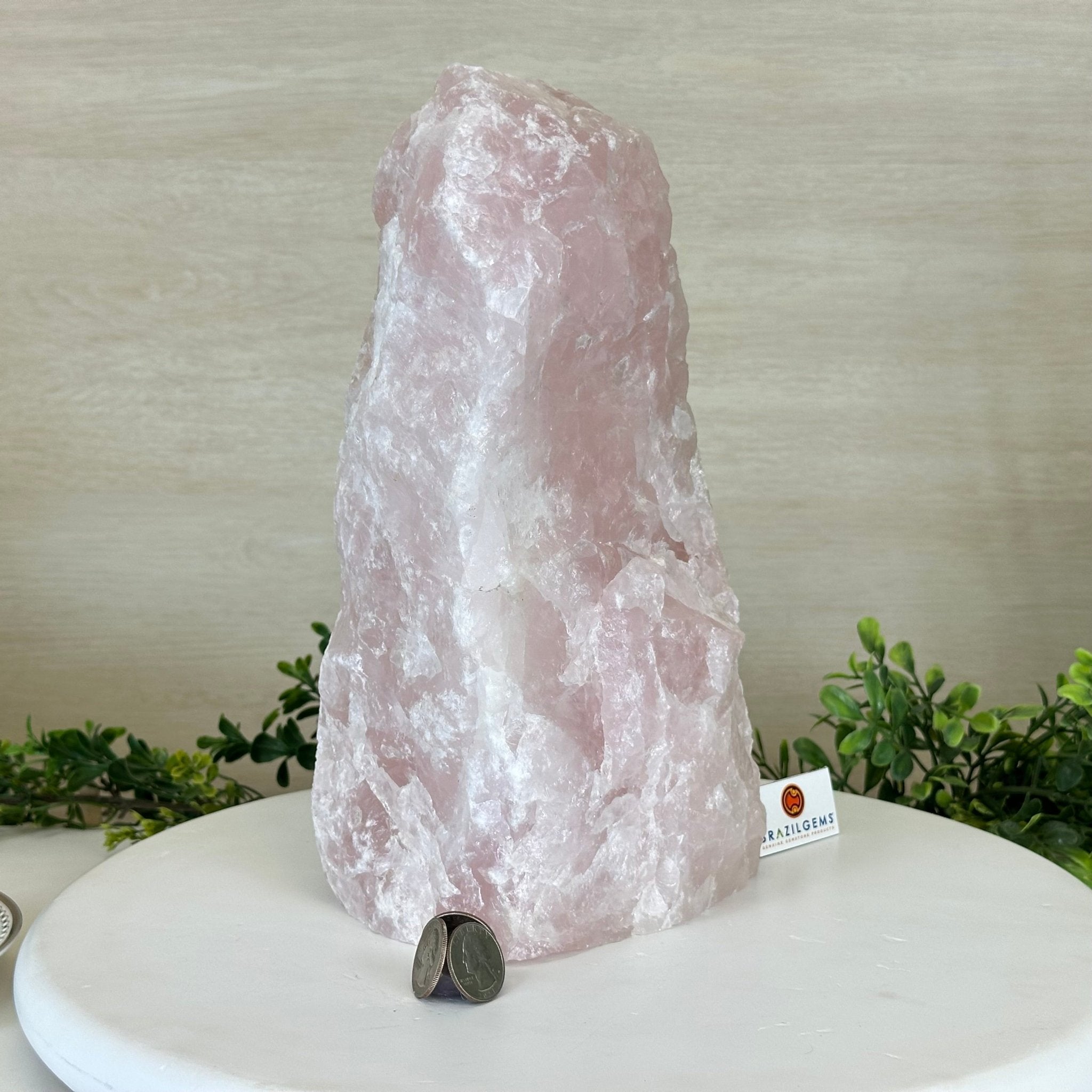 Rough Rose Quartz Freeform Gemstone, 16.5 lbs & 11.3” Tall 3302RQ - 006 - Brazil GemsBrazil GemsRough Rose Quartz Freeform Gemstone, 16.5 lbs & 11.3” Tall 3302RQ - 006Freeform & Unique Shapes3302RQ - 006