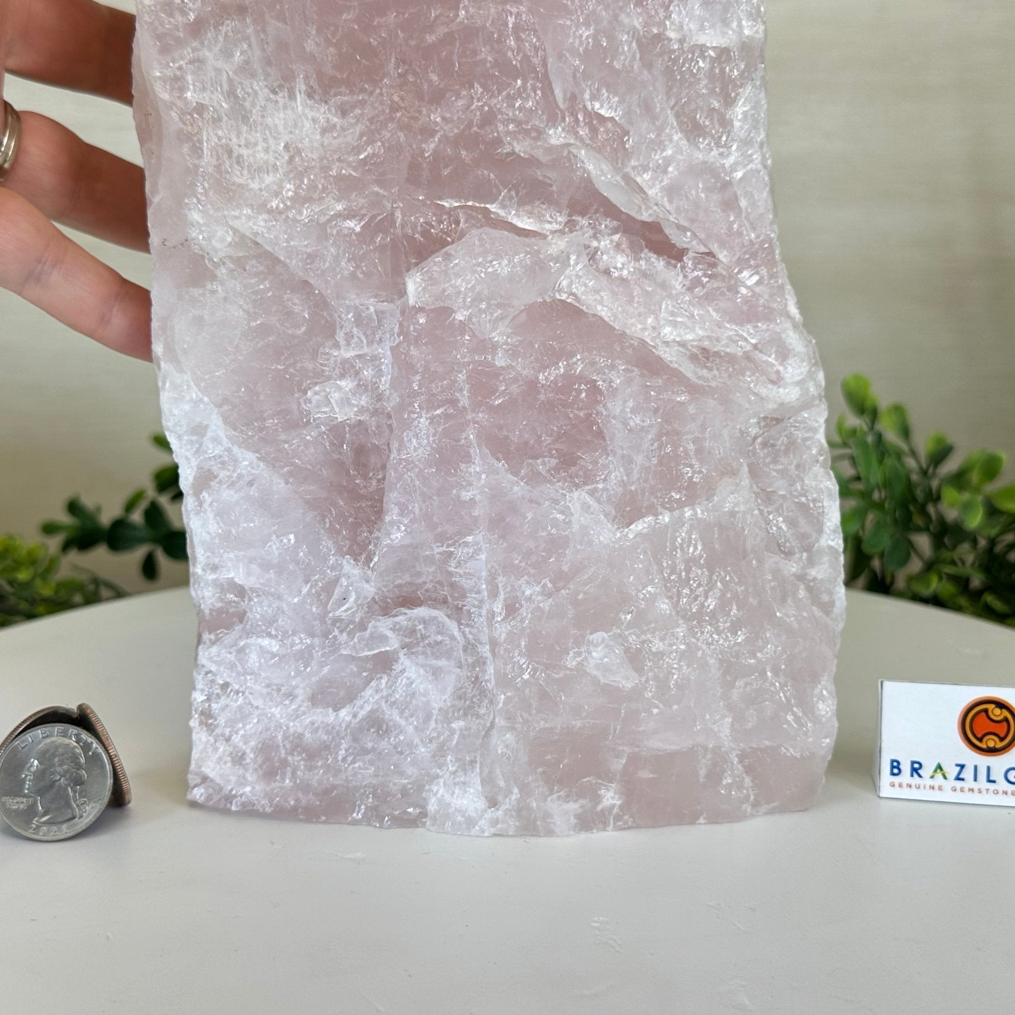 Rough Rose Quartz Freeform Gemstone, 16.5 lbs & 11.3” Tall 3302RQ - 006 - Brazil GemsBrazil GemsRough Rose Quartz Freeform Gemstone, 16.5 lbs & 11.3” Tall 3302RQ - 006Freeform & Unique Shapes3302RQ - 006