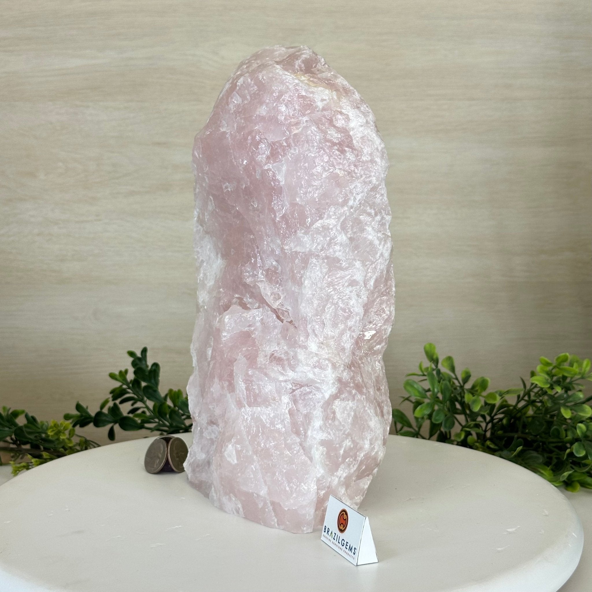 Rough Rose Quartz Freeform Gemstone, 16.5 lbs & 11.3” Tall 3302RQ - 006 - Brazil GemsBrazil GemsRough Rose Quartz Freeform Gemstone, 16.5 lbs & 11.3” Tall 3302RQ - 006Freeform & Unique Shapes3302RQ - 006