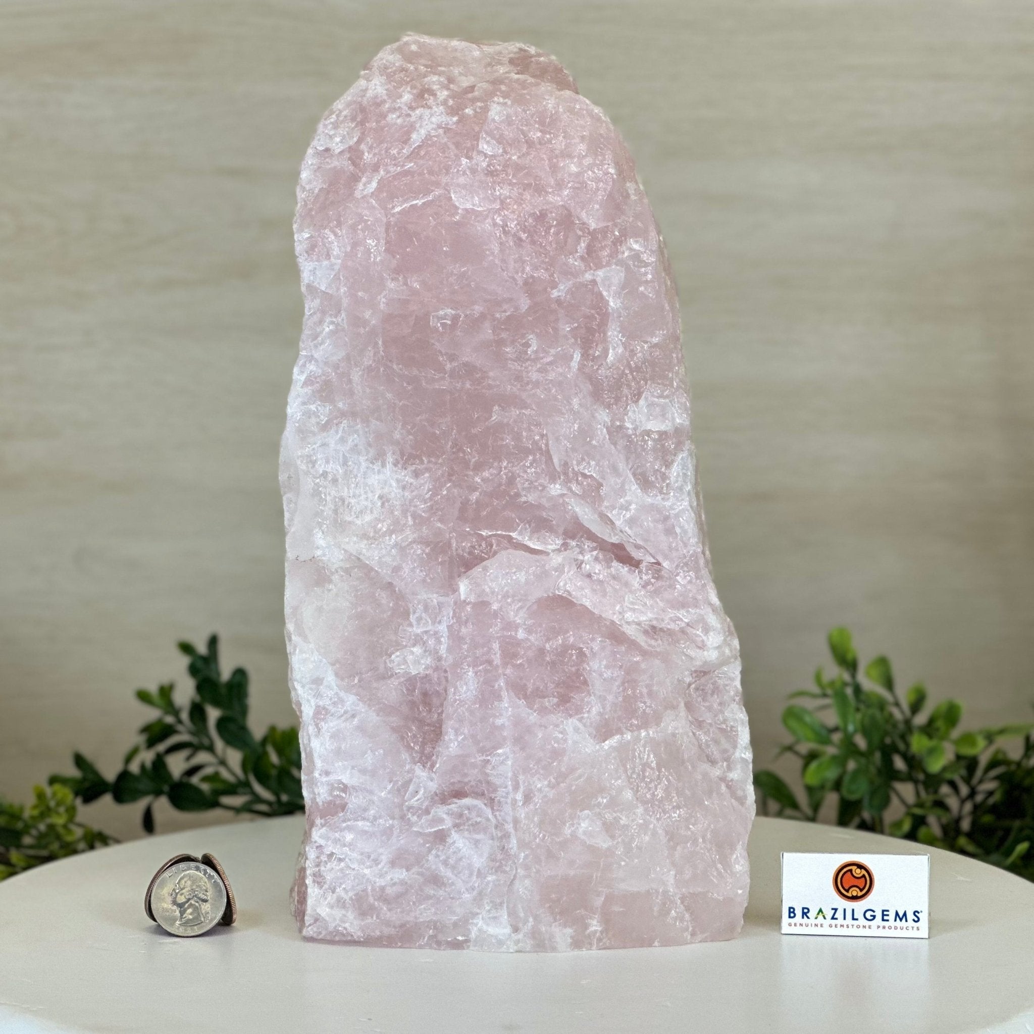 Rough Rose Quartz Freeform Gemstone, 16.5 lbs & 11.3” Tall 3302RQ - 006 - Brazil GemsBrazil GemsRough Rose Quartz Freeform Gemstone, 16.5 lbs & 11.3” Tall 3302RQ - 006Freeform & Unique Shapes3302RQ - 006