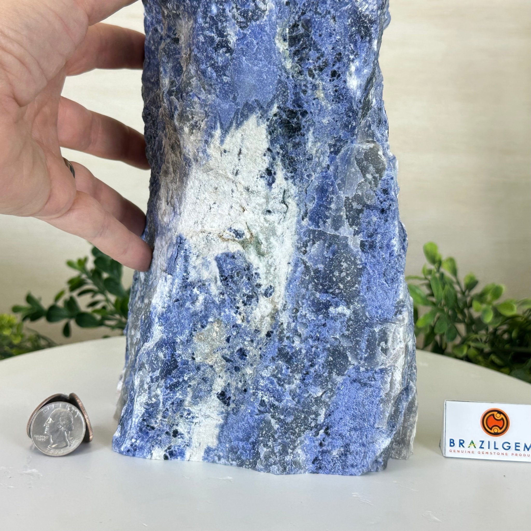 Rough Sodalite Freeform Gemstone, 16.3 lbs & 12.5” Tall 3302SO - 001 - Brazil GemsBrazil GemsRough Sodalite Freeform Gemstone, 16.3 lbs & 12.5” Tall 3302SO - 001Freeform & Unique Shapes3302SO - 001
