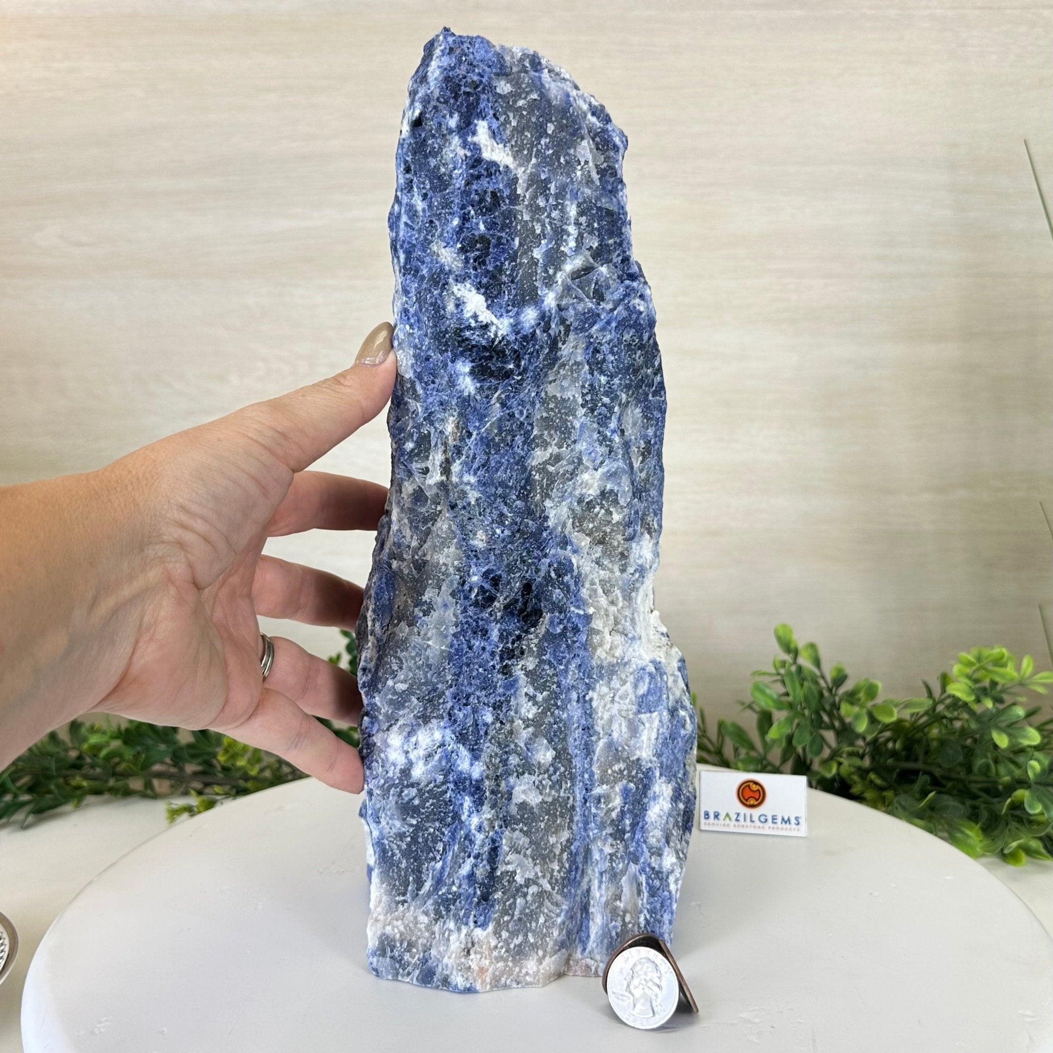 Rough Sodalite Freeform Gemstone, 16.3 lbs & 12.5” Tall 3302SO - 001 - Brazil GemsBrazil GemsRough Sodalite Freeform Gemstone, 16.3 lbs & 12.5” Tall 3302SO - 001Freeform & Unique Shapes3302SO - 001