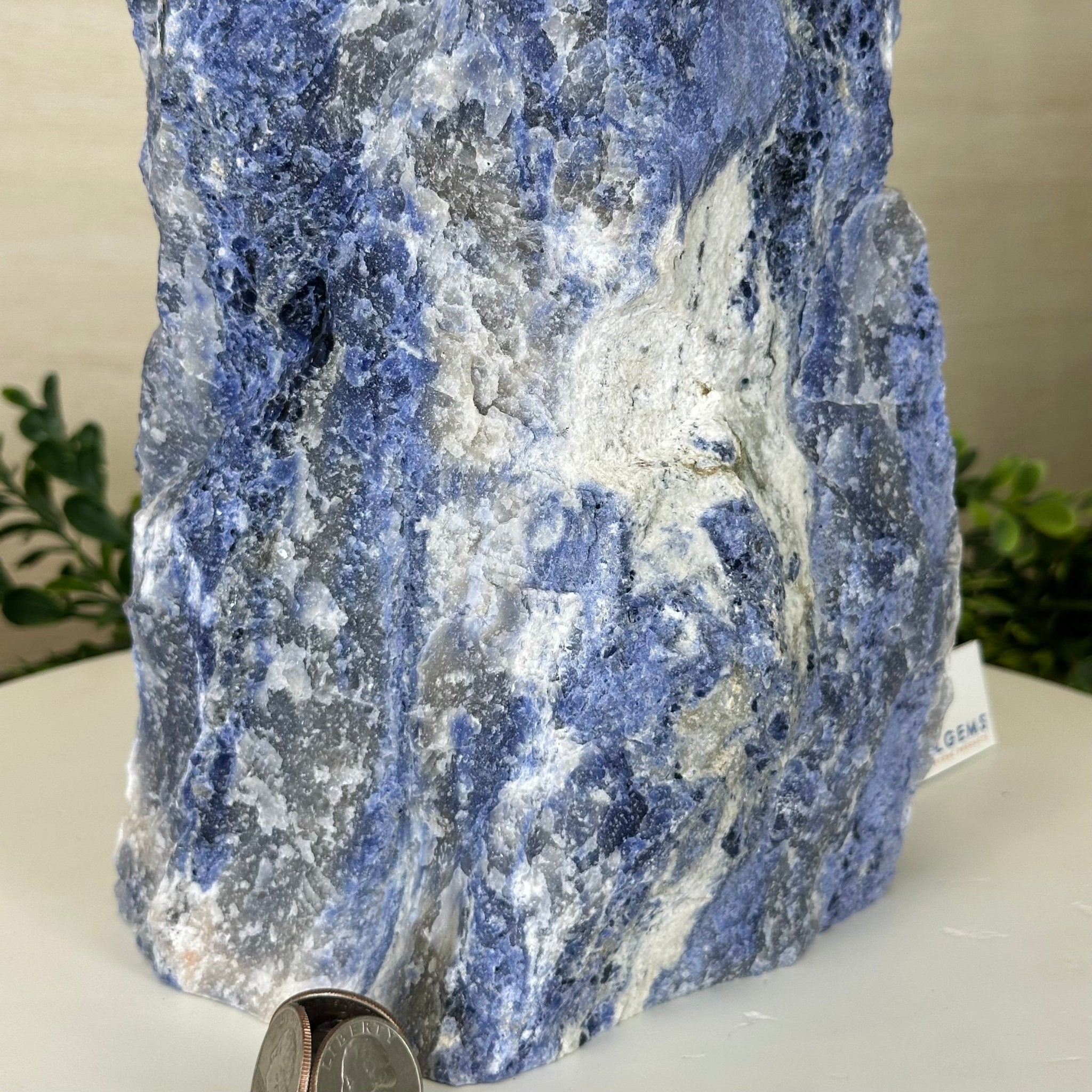 Rough Sodalite Freeform Gemstone, 16.3 lbs & 12.5” Tall 3302SO - 001 - Brazil GemsBrazil GemsRough Sodalite Freeform Gemstone, 16.3 lbs & 12.5” Tall 3302SO - 001Freeform & Unique Shapes3302SO - 001