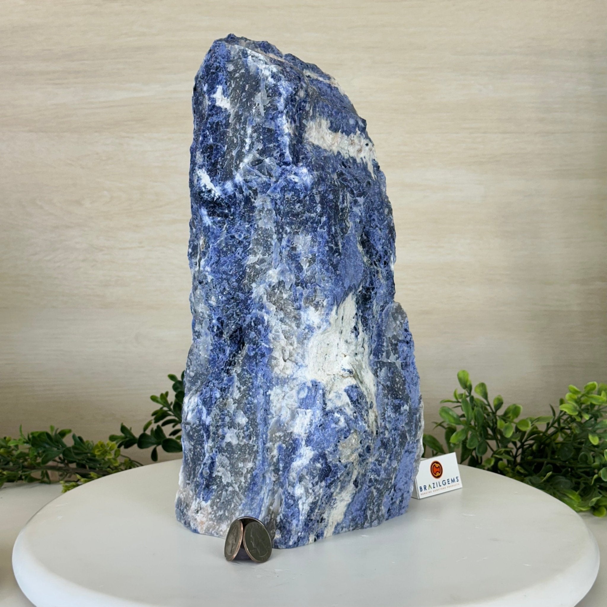 Rough Sodalite Freeform Gemstone, 16.3 lbs & 12.5” Tall 3302SO - 001 - Brazil GemsBrazil GemsRough Sodalite Freeform Gemstone, 16.3 lbs & 12.5” Tall 3302SO - 001Freeform & Unique Shapes3302SO - 001