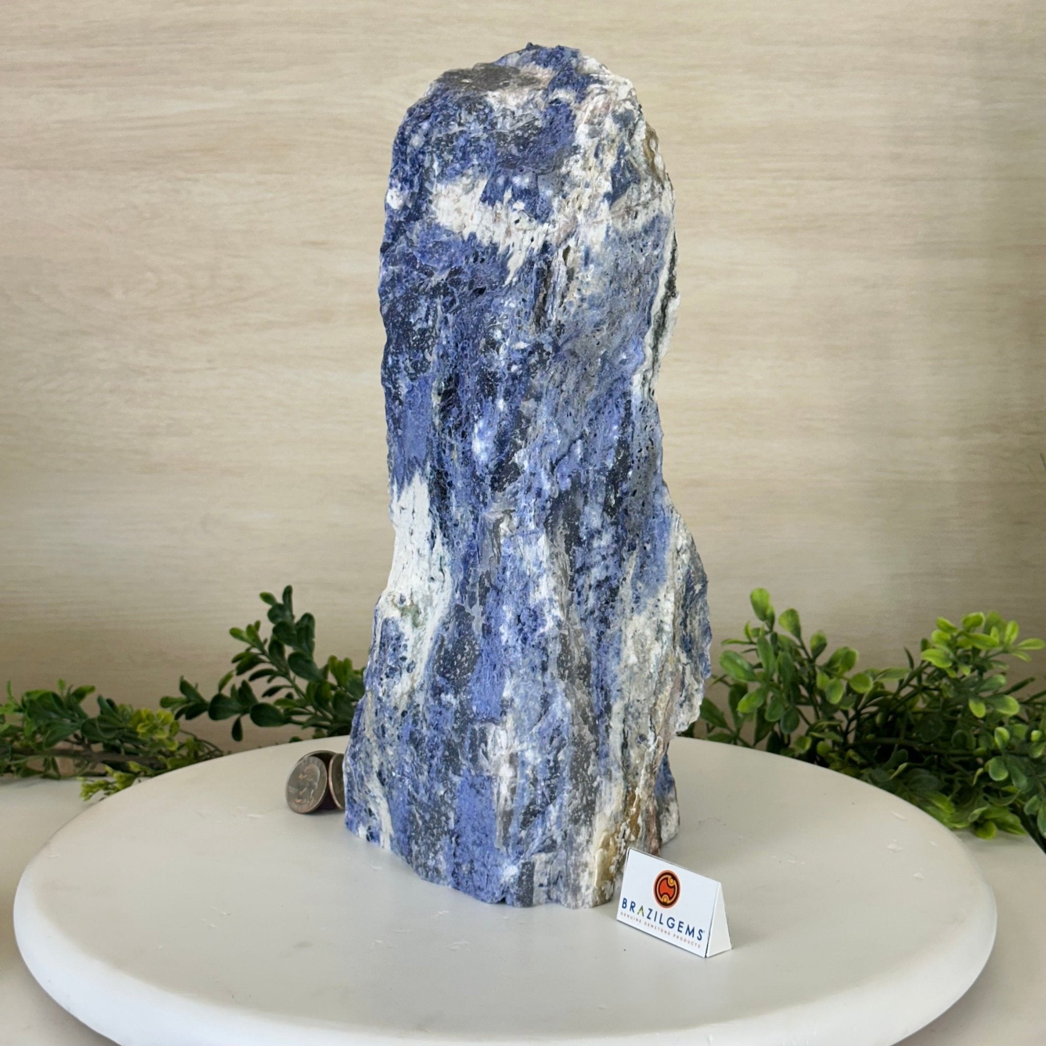 Rough Sodalite Freeform Gemstone, 16.3 lbs & 12.5” Tall 3302SO - 001 - Brazil GemsBrazil GemsRough Sodalite Freeform Gemstone, 16.3 lbs & 12.5” Tall 3302SO - 001Freeform & Unique Shapes3302SO - 001