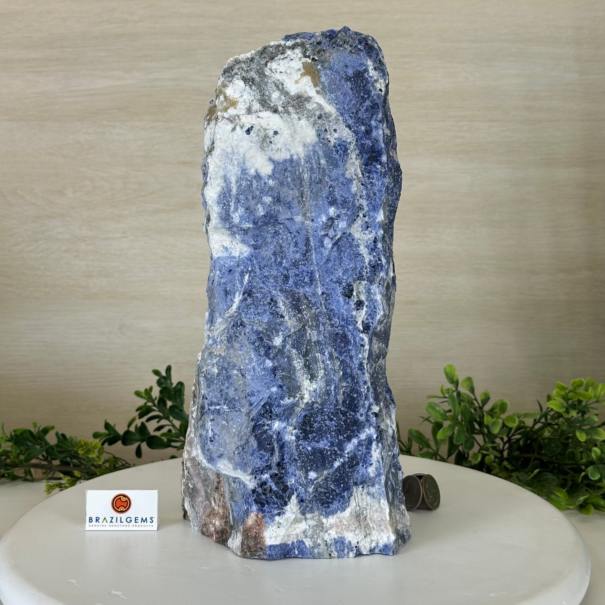 Rough Sodalite Freeform Gemstone, 16.3 lbs & 12.5” Tall 3302SO - 001 - Brazil GemsBrazil GemsRough Sodalite Freeform Gemstone, 16.3 lbs & 12.5” Tall 3302SO - 001Freeform & Unique Shapes3302SO - 001