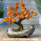 Set of 10 units - 5" Tall Handmade Gemstone Trees on an Amethyst Cluster base, 35 Total Gems, 12 Gem Options, Model #W5401-10 by Brazil Gems - Brazil GemsBrazil GemsSet of 10 units - 5" Tall Handmade Gemstone Trees on an Amethyst Cluster base, 35 Total Gems, 12 Gem Options, Model #W5401-10 by Brazil GemsGemstone Trees-WHW5401-10