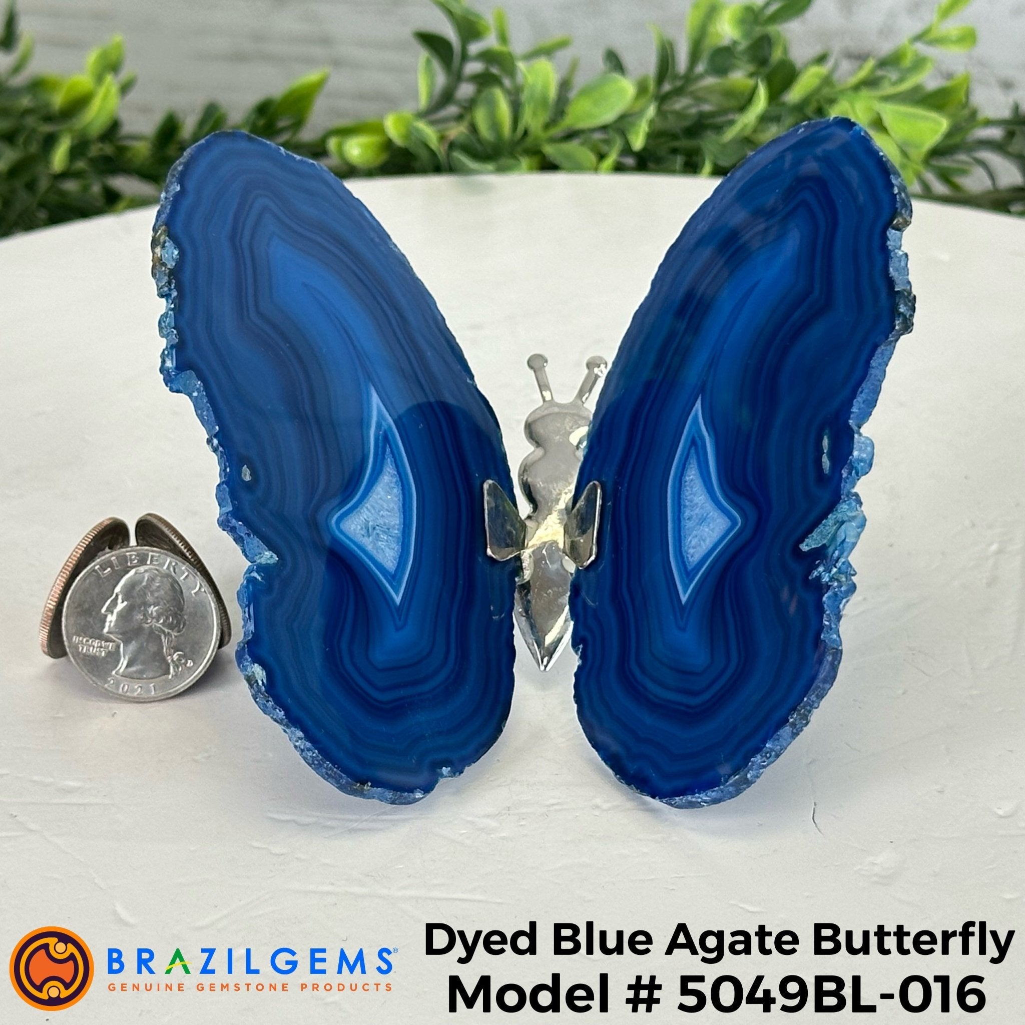 Small Blue Agate "Butterfly Wings", ~4" Length #5049BL - Brazil GemsBrazil GemsSmall Blue Agate "Butterfly Wings", ~4" Length #5049BLAgate Butterfly Wings5049BL-016