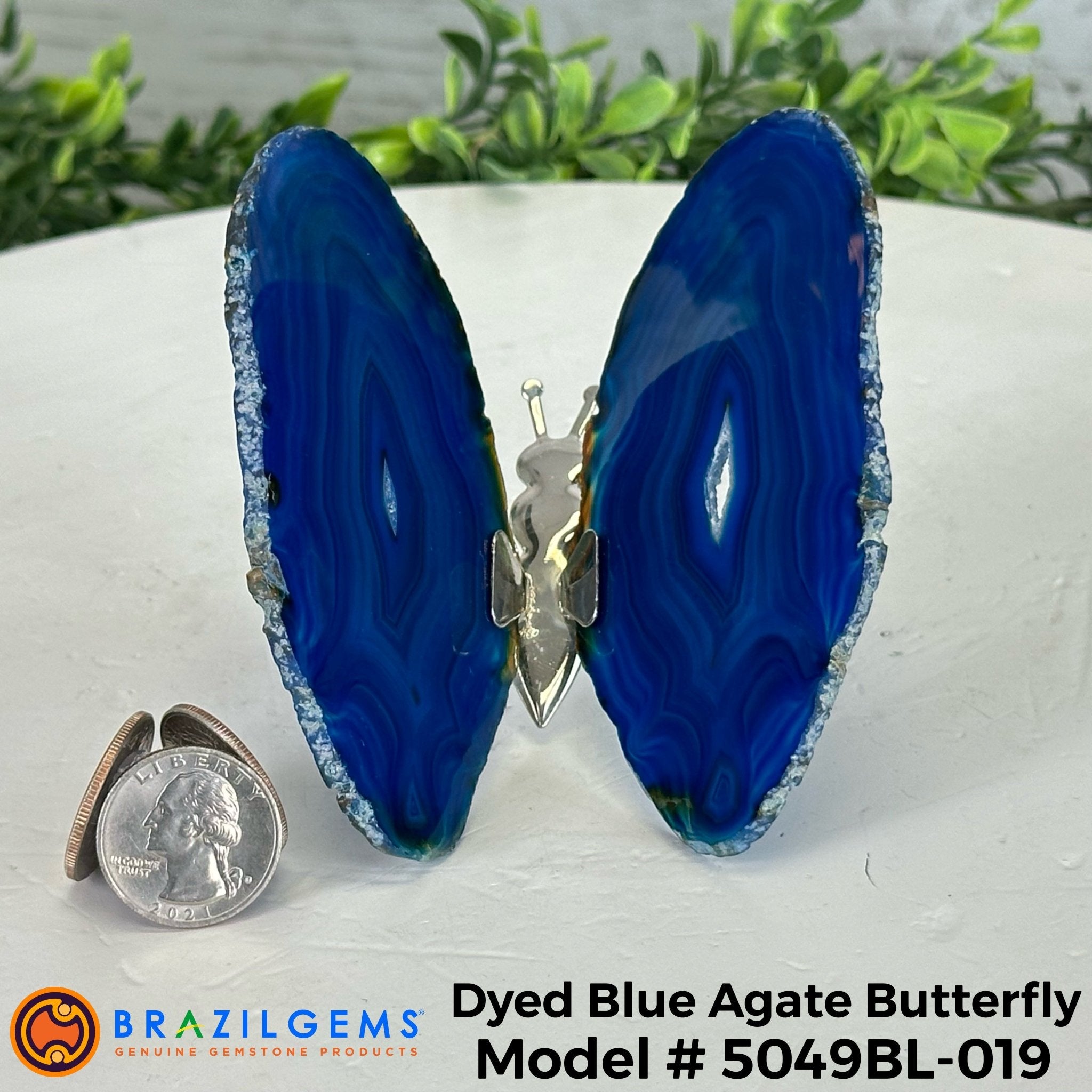 Small Blue Agate "Butterfly Wings", ~4" Length #5049BL - Brazil GemsBrazil GemsSmall Blue Agate "Butterfly Wings", ~4" Length #5049BLAgate Butterfly Wings5049BL-019