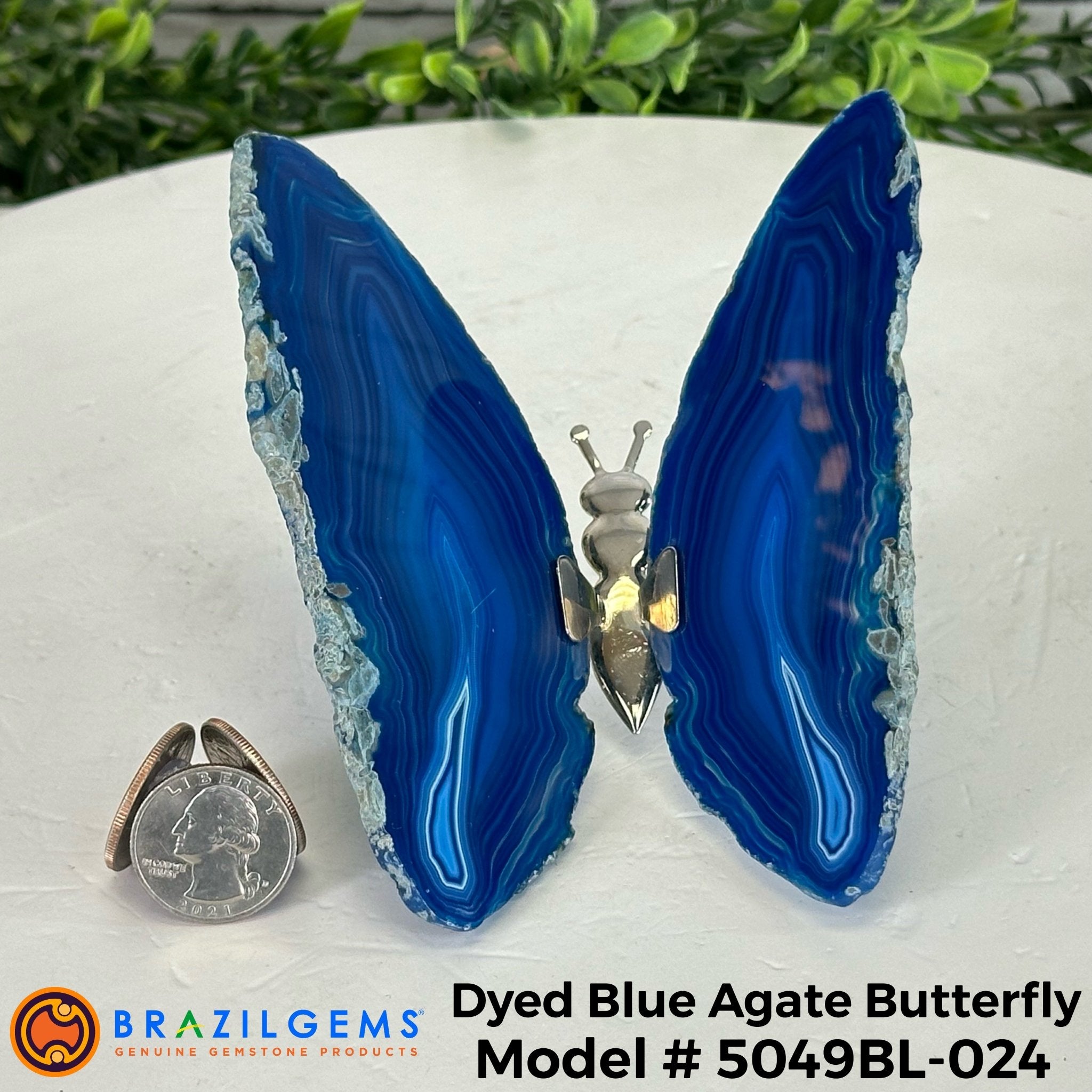 Small Blue Agate "Butterfly Wings", ~4" Length #5049BL - Brazil GemsBrazil GemsSmall Blue Agate "Butterfly Wings", ~4" Length #5049BLAgate Butterfly Wings5049BL-024