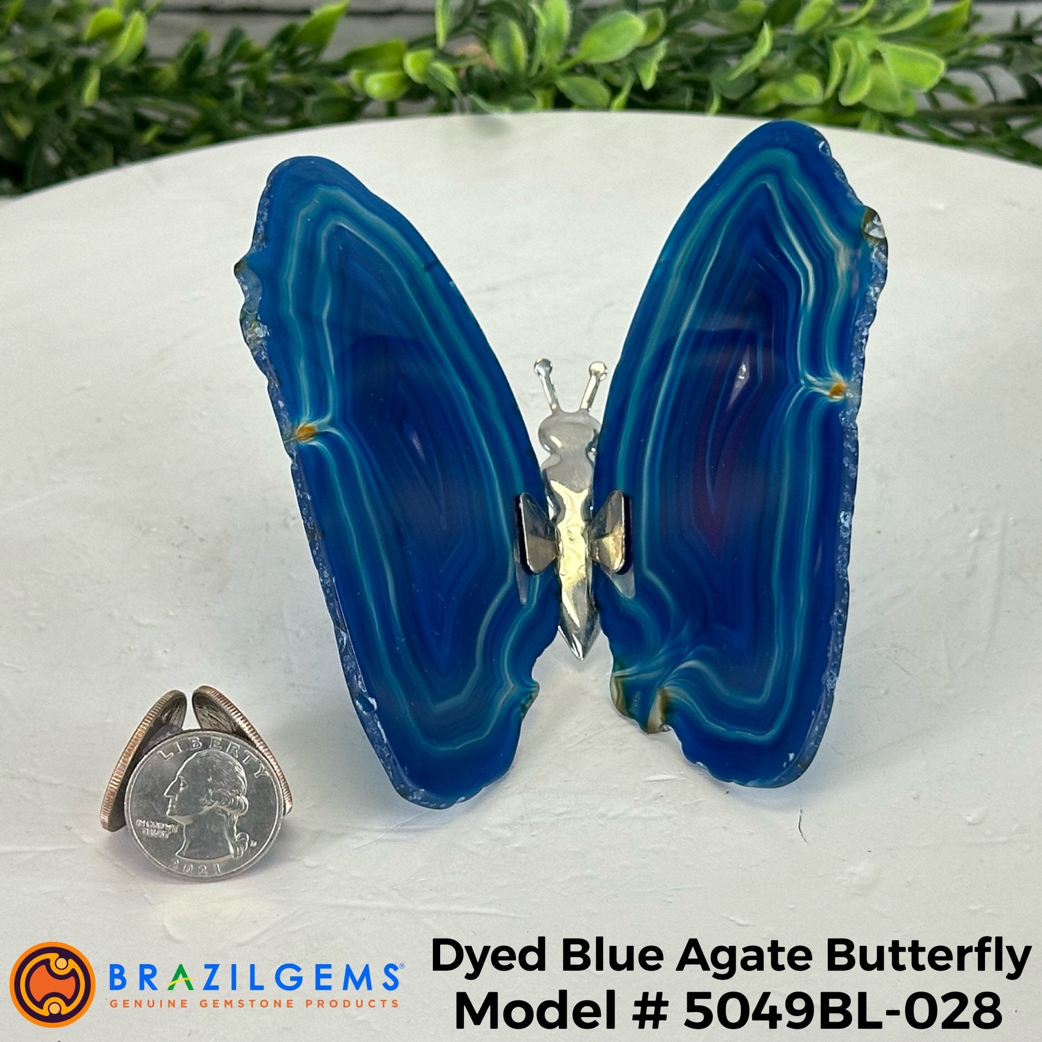 Small Blue Agate "Butterfly Wings", ~4" Length #5049BL - Brazil GemsBrazil GemsSmall Blue Agate "Butterfly Wings", ~4" Length #5049BLAgate Butterfly Wings5049BL-028
