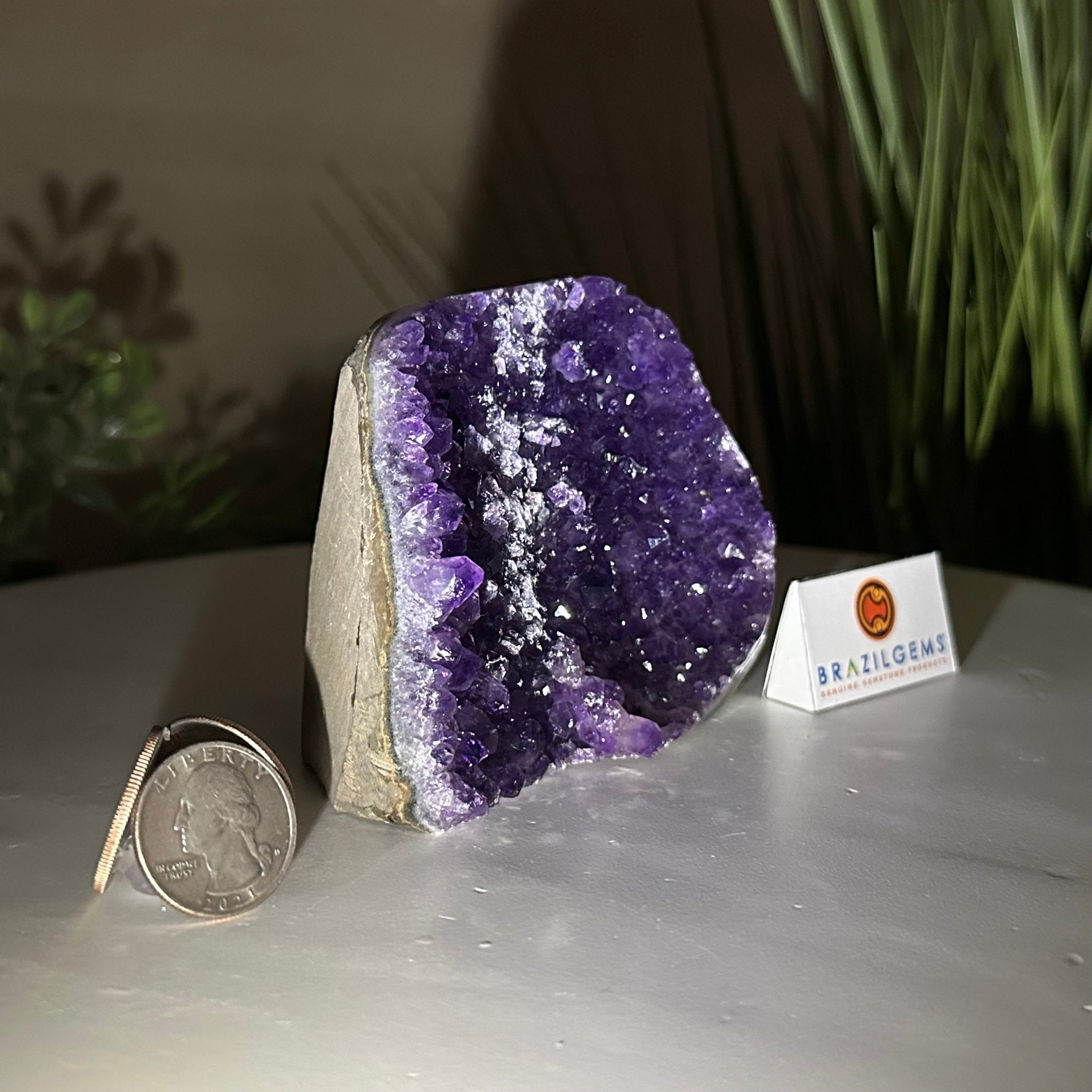 Small Extra Plus Quality Amethyst Cluster Flat Base, 3.3" Tall 5611 - 0919 - Brazil GemsBrazil GemsSmall Extra Plus Quality Amethyst Cluster Flat Base, 3.3" Tall 5611 - 0919Small Clusters with Flat Bases5611 - 0919
