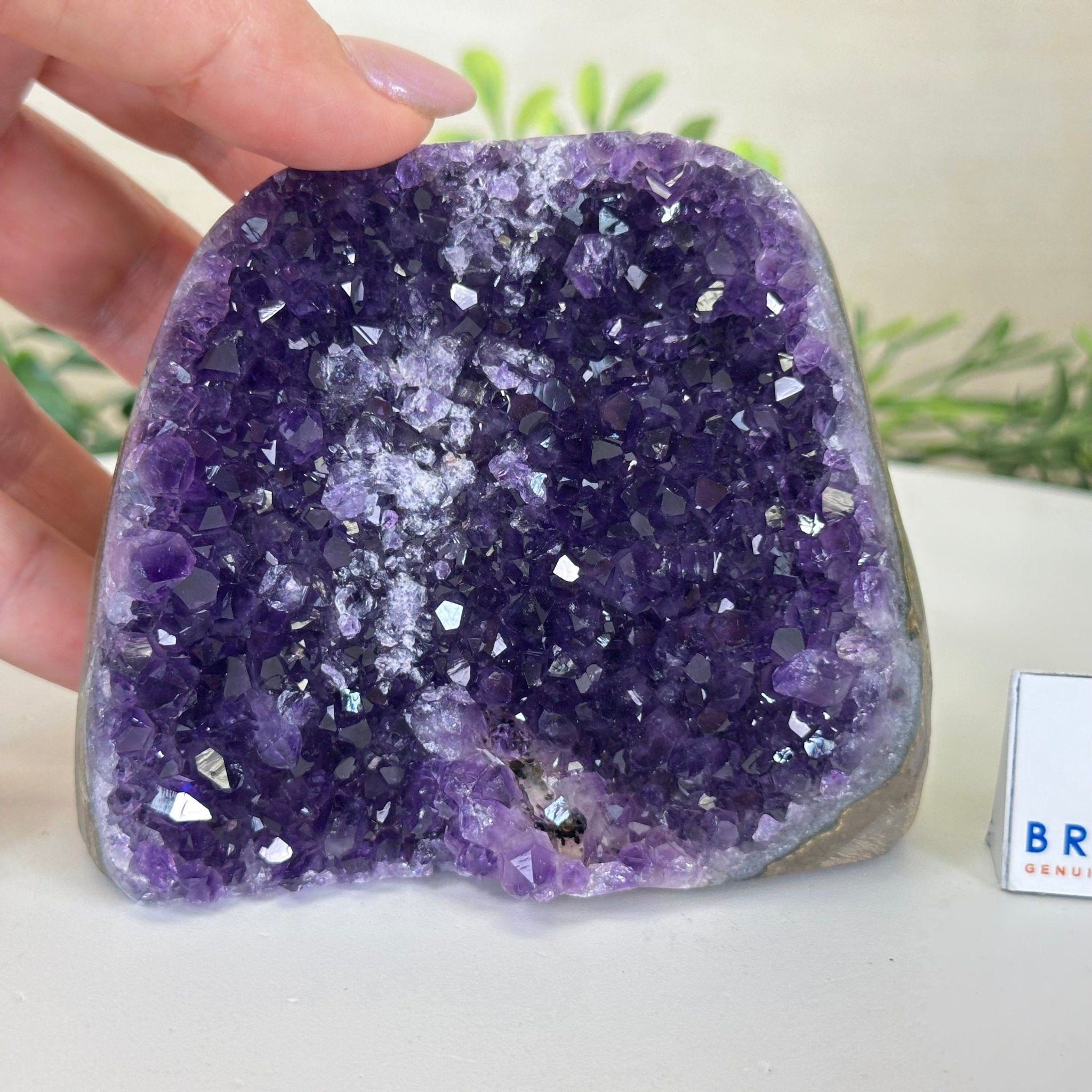 Small Extra Plus Quality Amethyst Cluster Flat Base, 3.3" Tall 5611 - 0919 - Brazil GemsBrazil GemsSmall Extra Plus Quality Amethyst Cluster Flat Base, 3.3" Tall 5611 - 0919Small Clusters with Flat Bases5611 - 0919