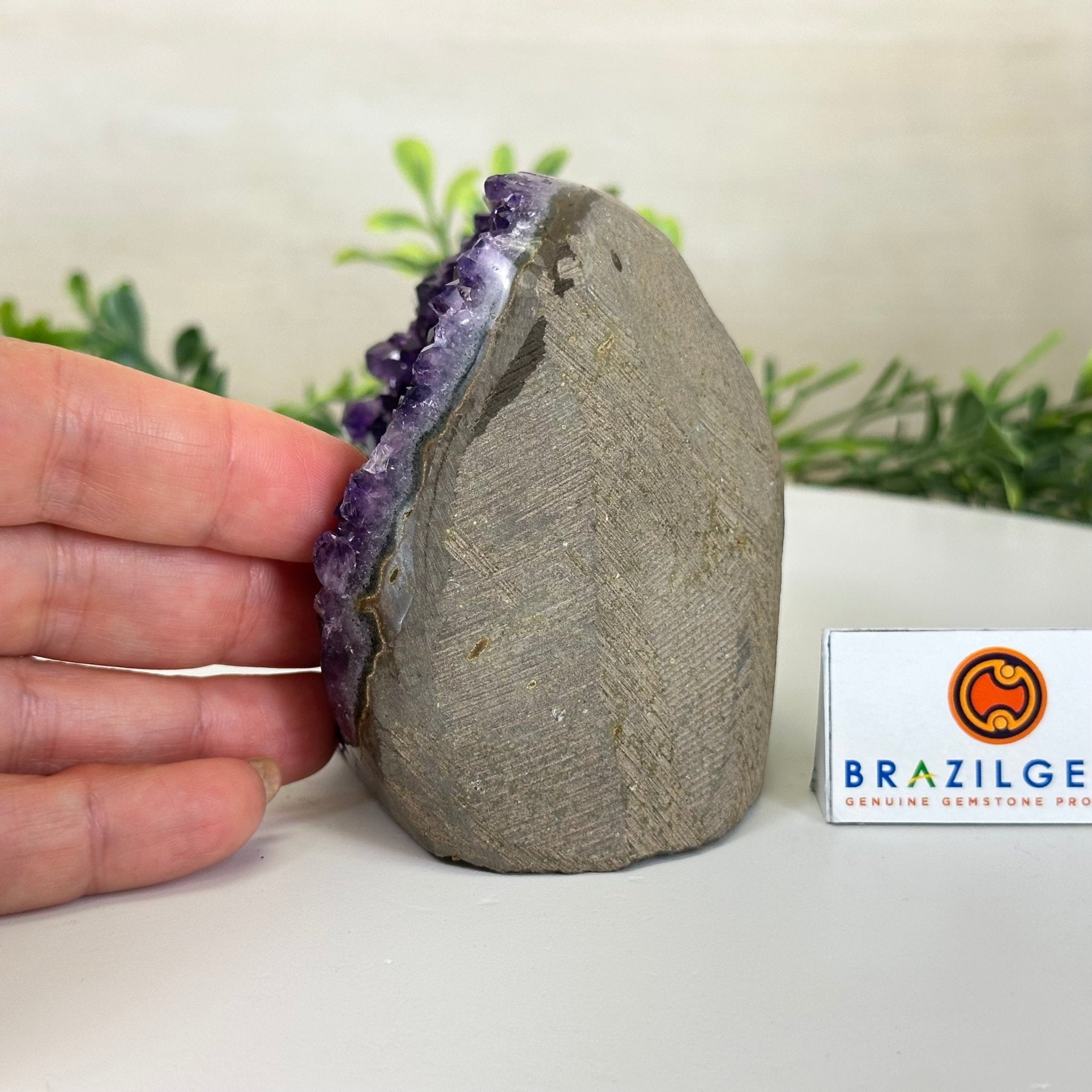 Small Extra Plus Quality Amethyst Cluster Flat Base, 3.3" Tall 5611 - 0919 - Brazil GemsBrazil GemsSmall Extra Plus Quality Amethyst Cluster Flat Base, 3.3" Tall 5611 - 0919Small Clusters with Flat Bases5611 - 0919